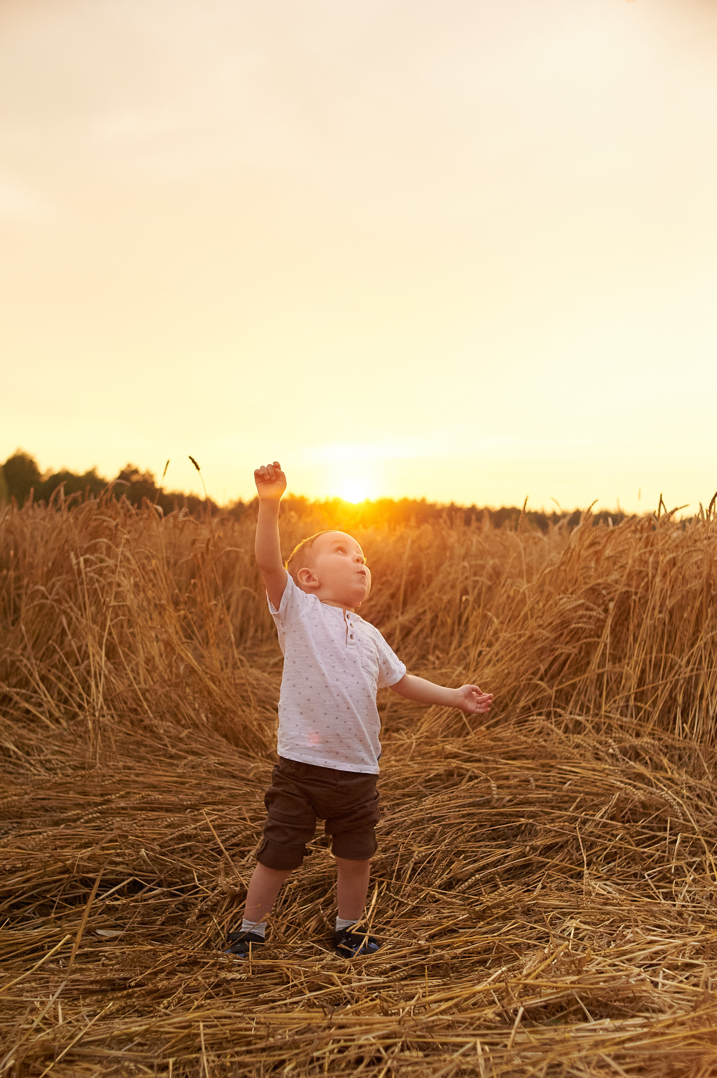 В пшеничном поле. Семейный и детский фотограф в г. Ногинске Ангелина Хасанова