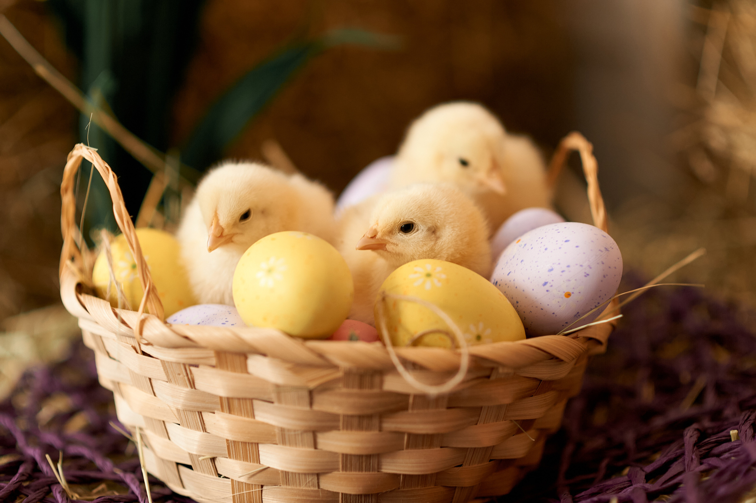 Весенний фотопроект. Семейный и детский фотограф в г. Ногинске Ангелина Хасанова