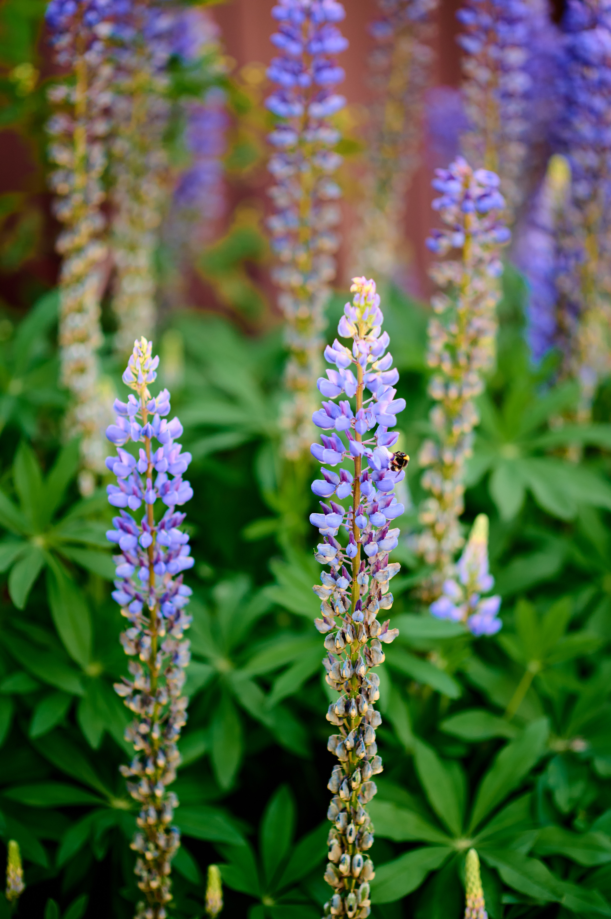Фотосессия в ретро стиле. Семейный и детский фотограф в г. Ногинске Ангелина Хасанова