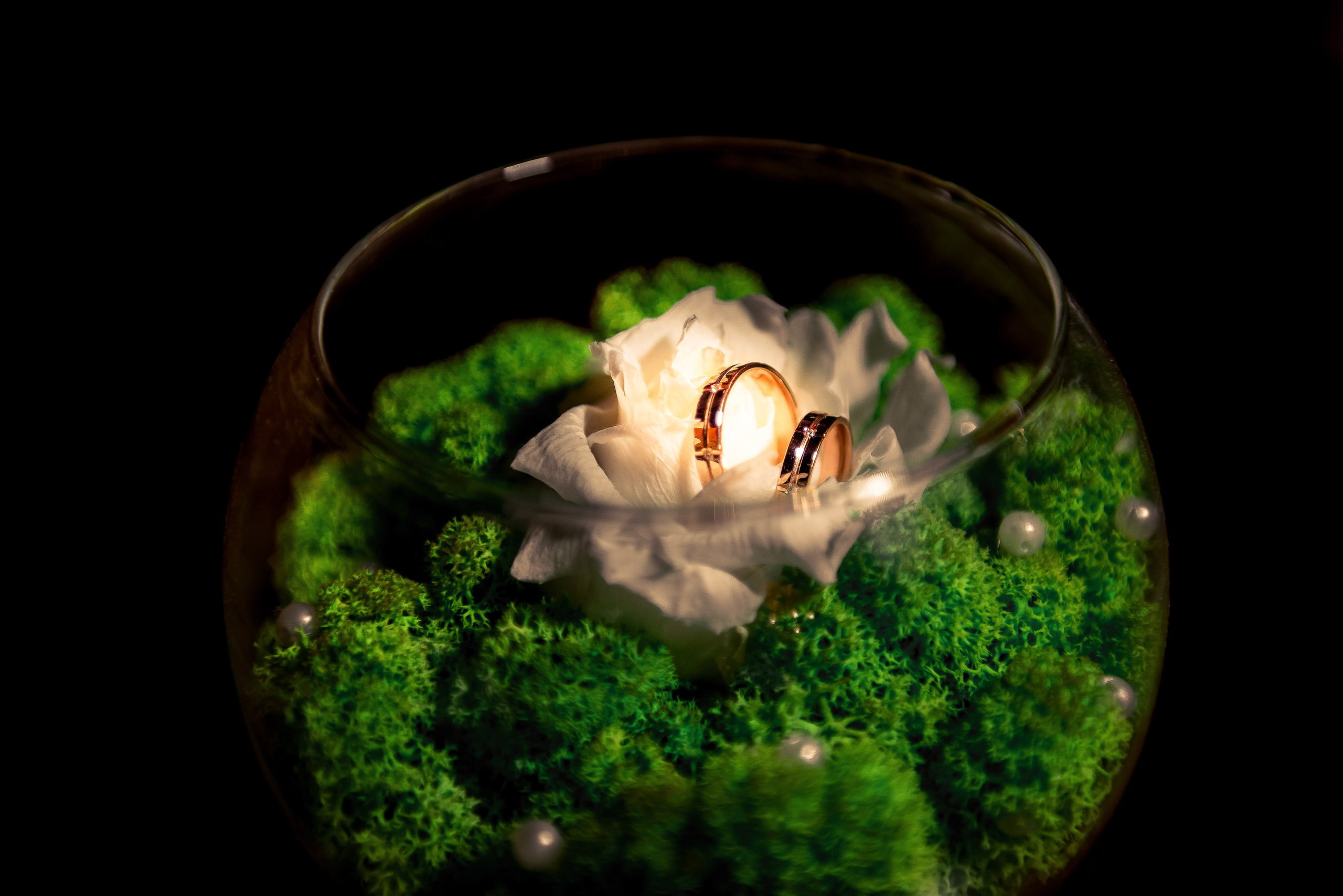 Д & В. Семейный и детский фотограф в г. Ногинске Ангелина Хасанова