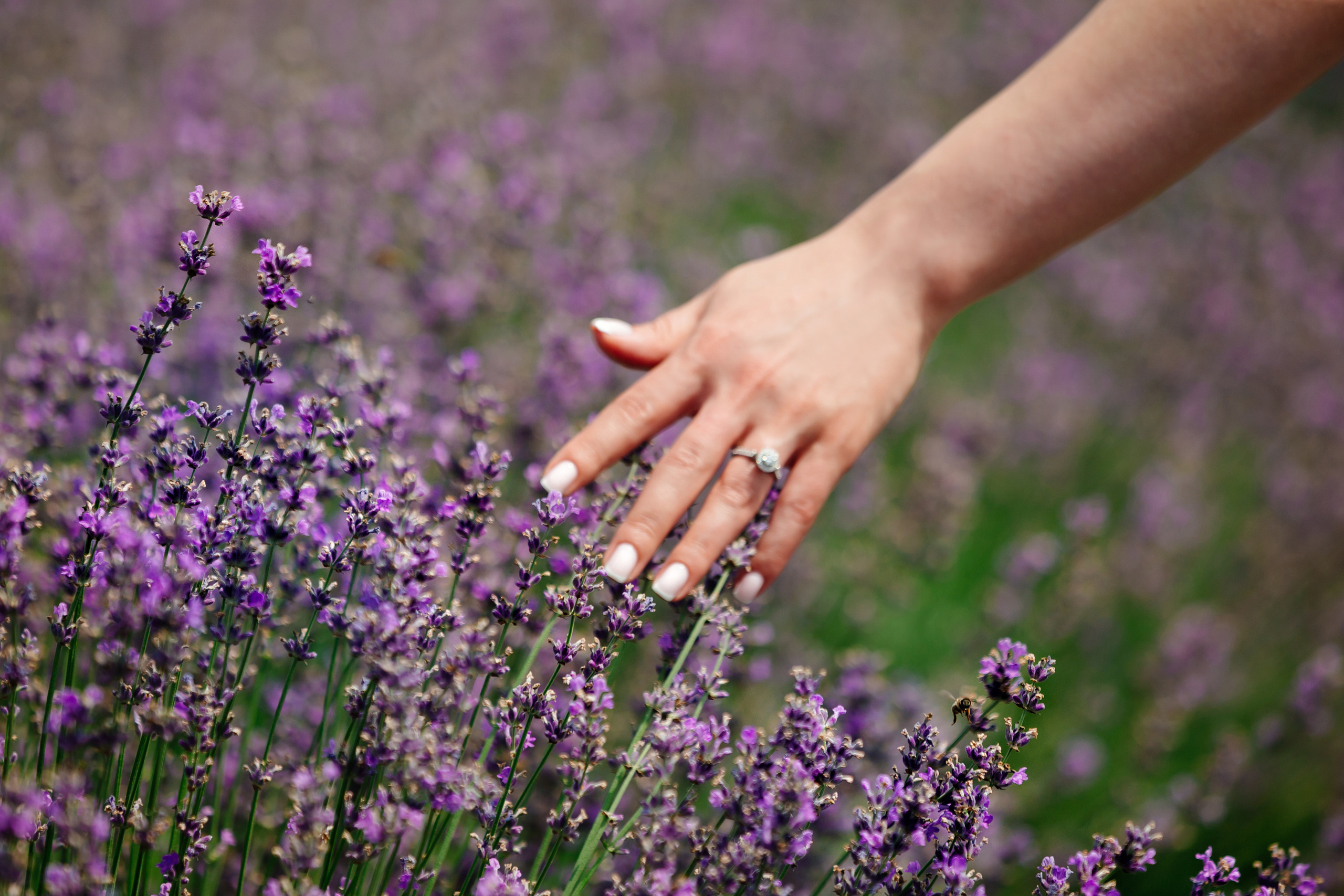 Manuk & Natalia. Свадебный и семейный фотограф в Новороссийске Виктор Дубов