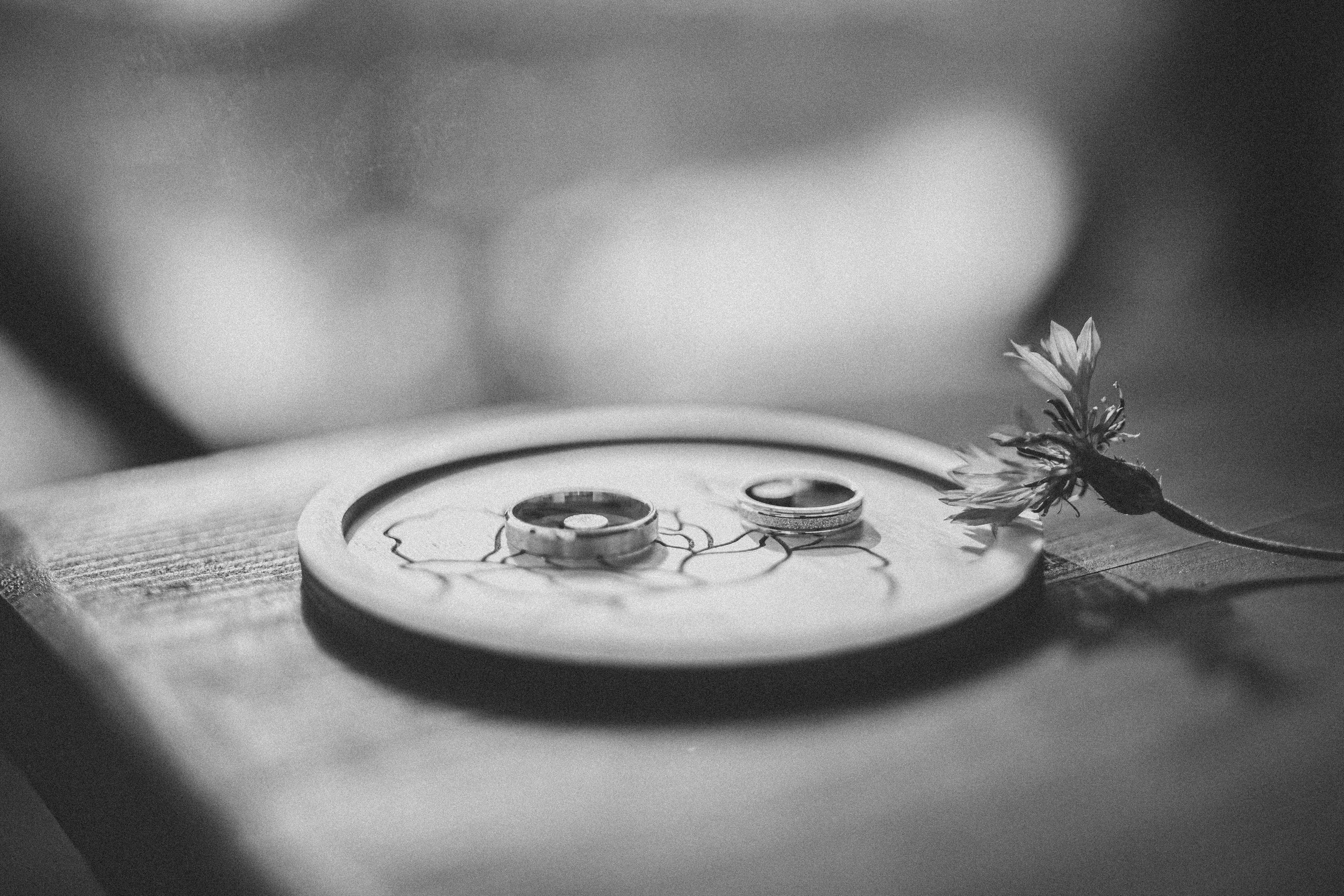 Виктор и Арина 5 августа 2022 год. Главная