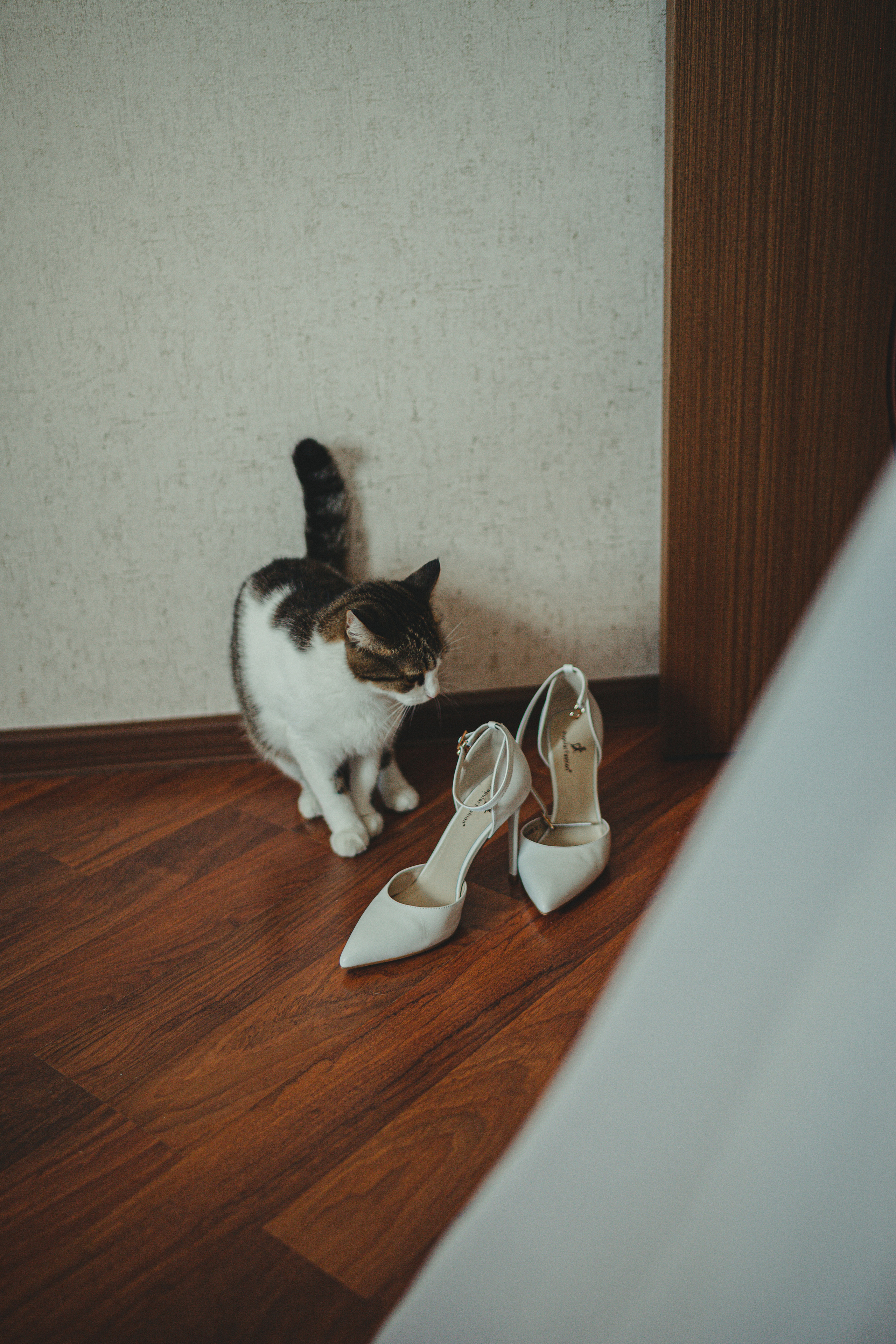 Матвей и Арина 22 июля 2022 год. Главная