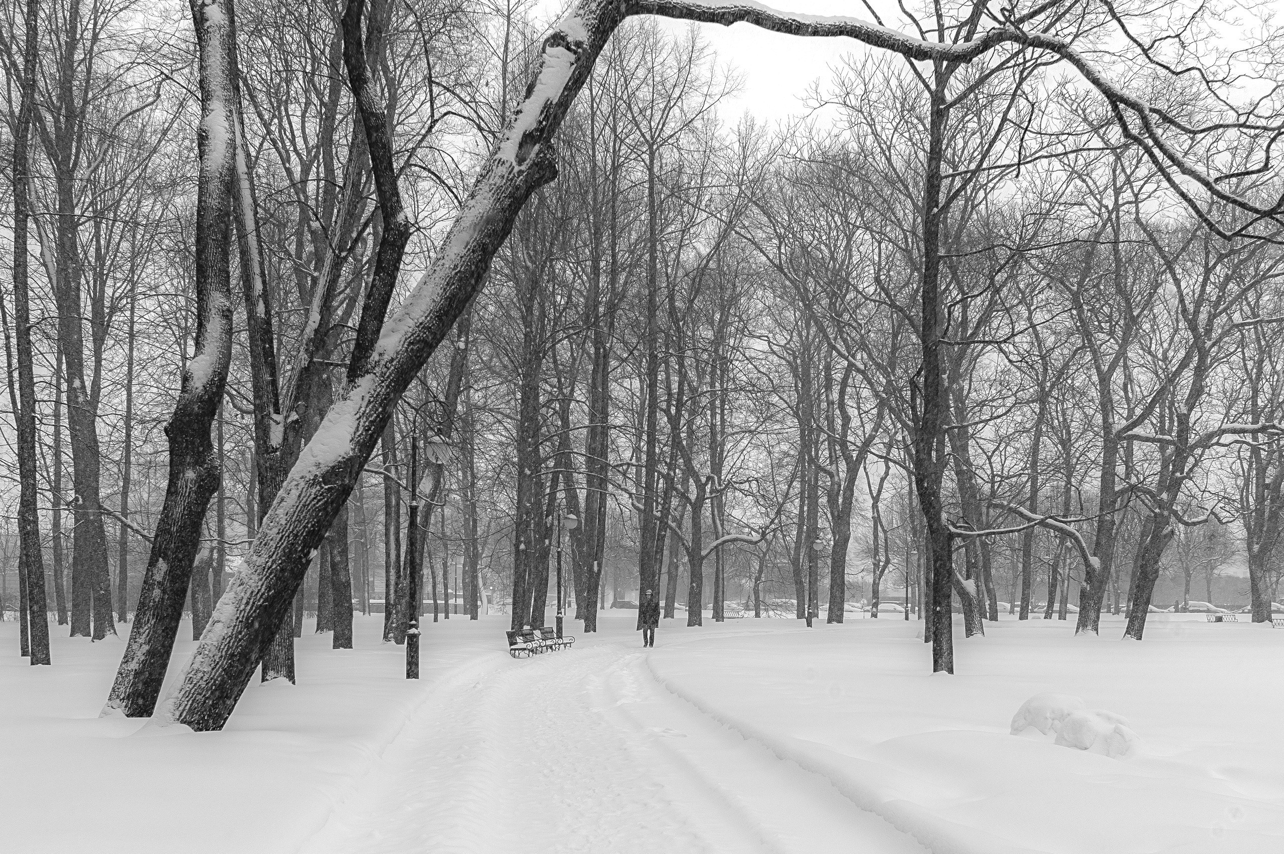 Питер. Фотограф Cyberkyrie