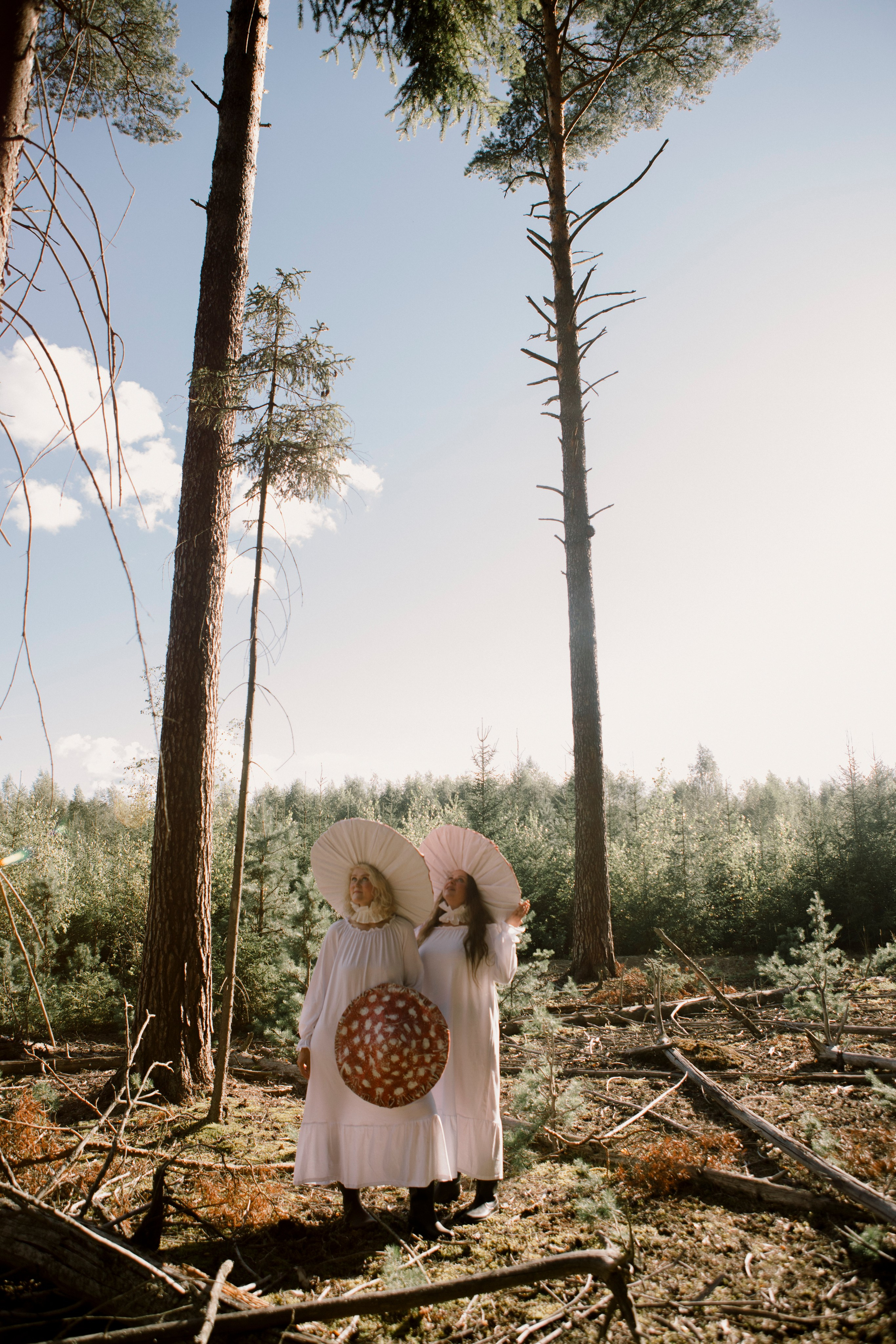 Грибы. Ольга Пилант. АРТ, бэкстейдж, свадебная и семейная фотография, городской портрет, интерьерная фотография