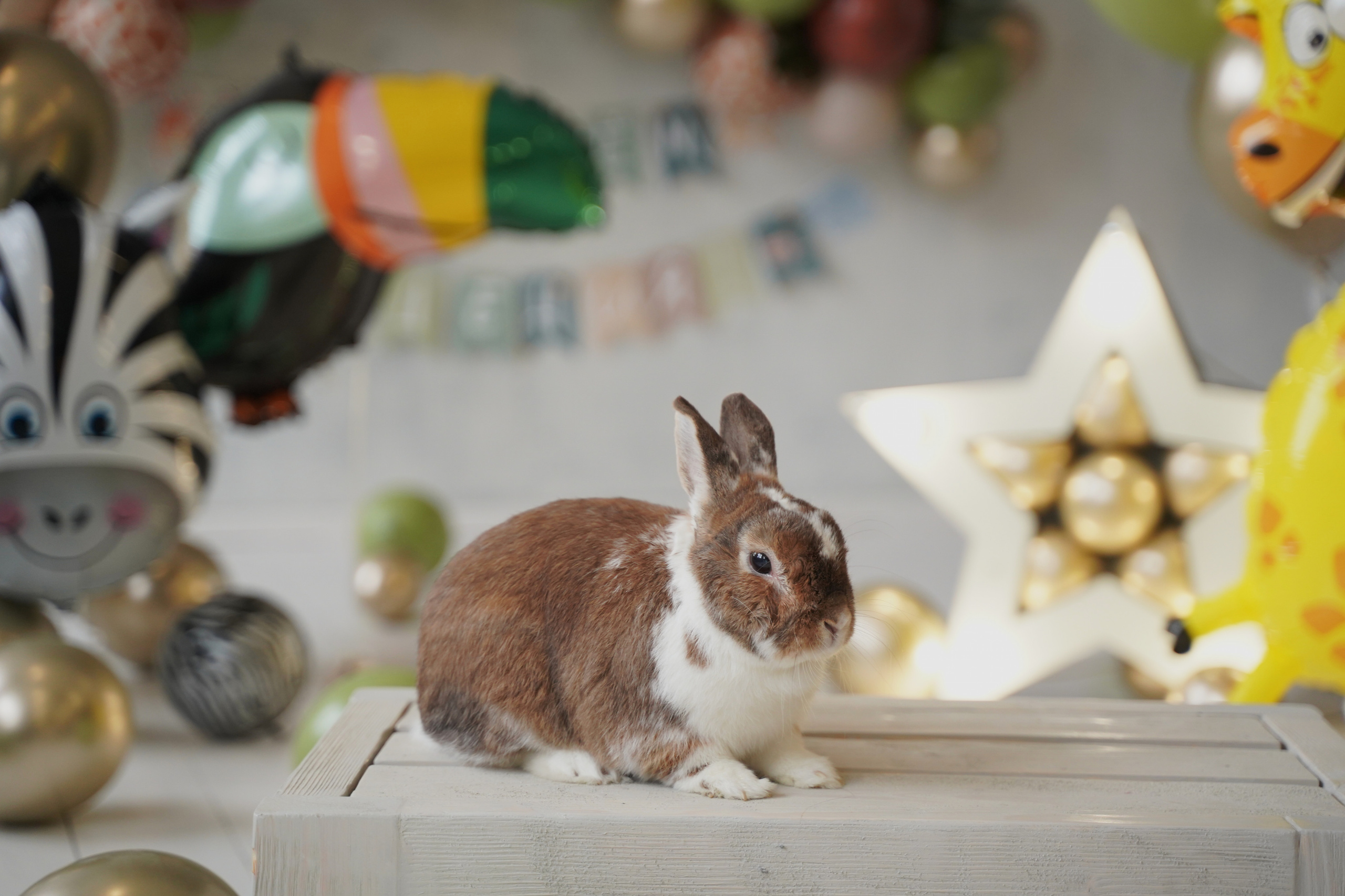 Детская фотосессия в студии. Съемка в фотостудиях Москвы. Портретный фотограф в Москве Елена Капралова