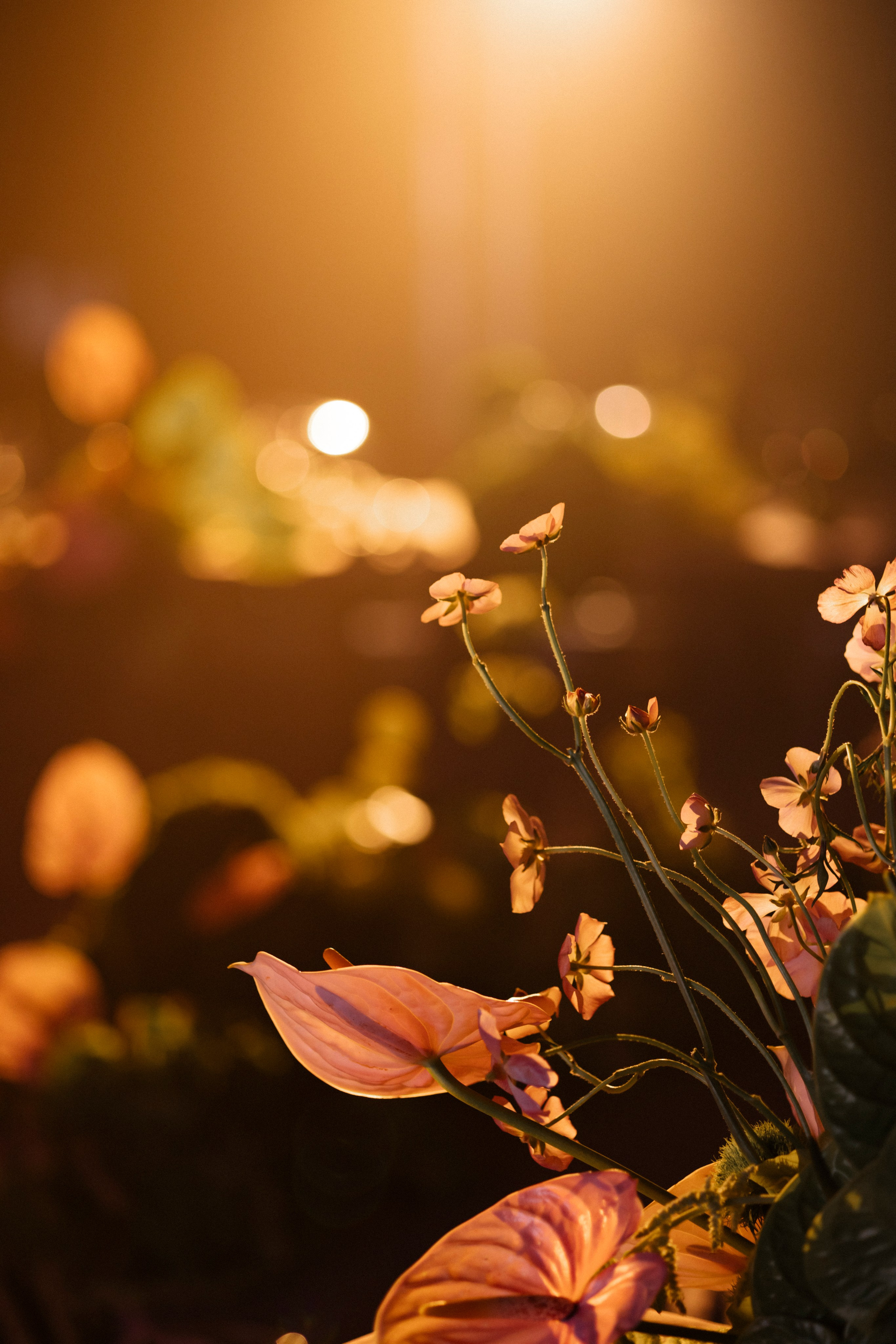 N&A. Свадебный фотограф Лиза Макатович Беларусь Минск