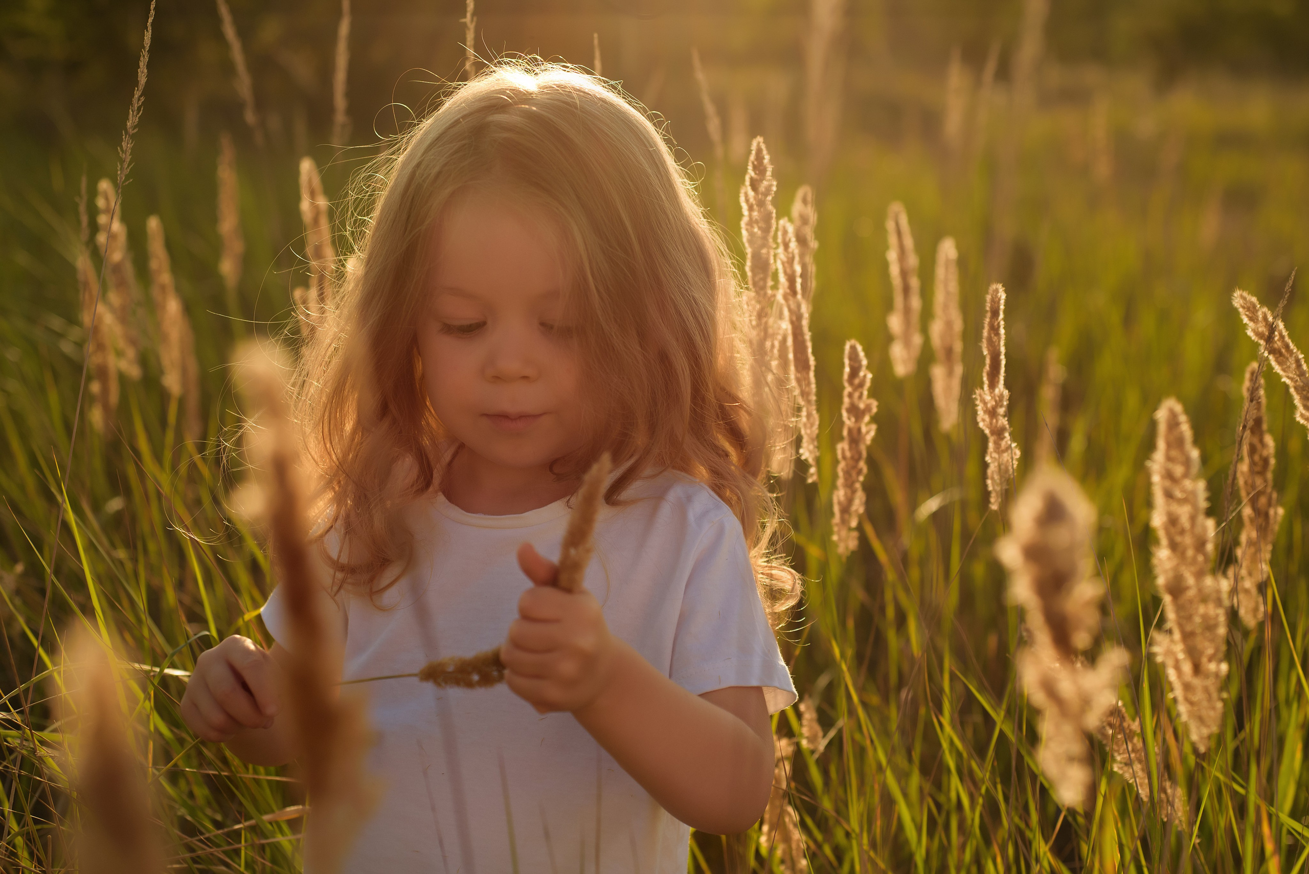 Детская фотосессия. Детский, семейный и свадебный фотограф Воронежской области