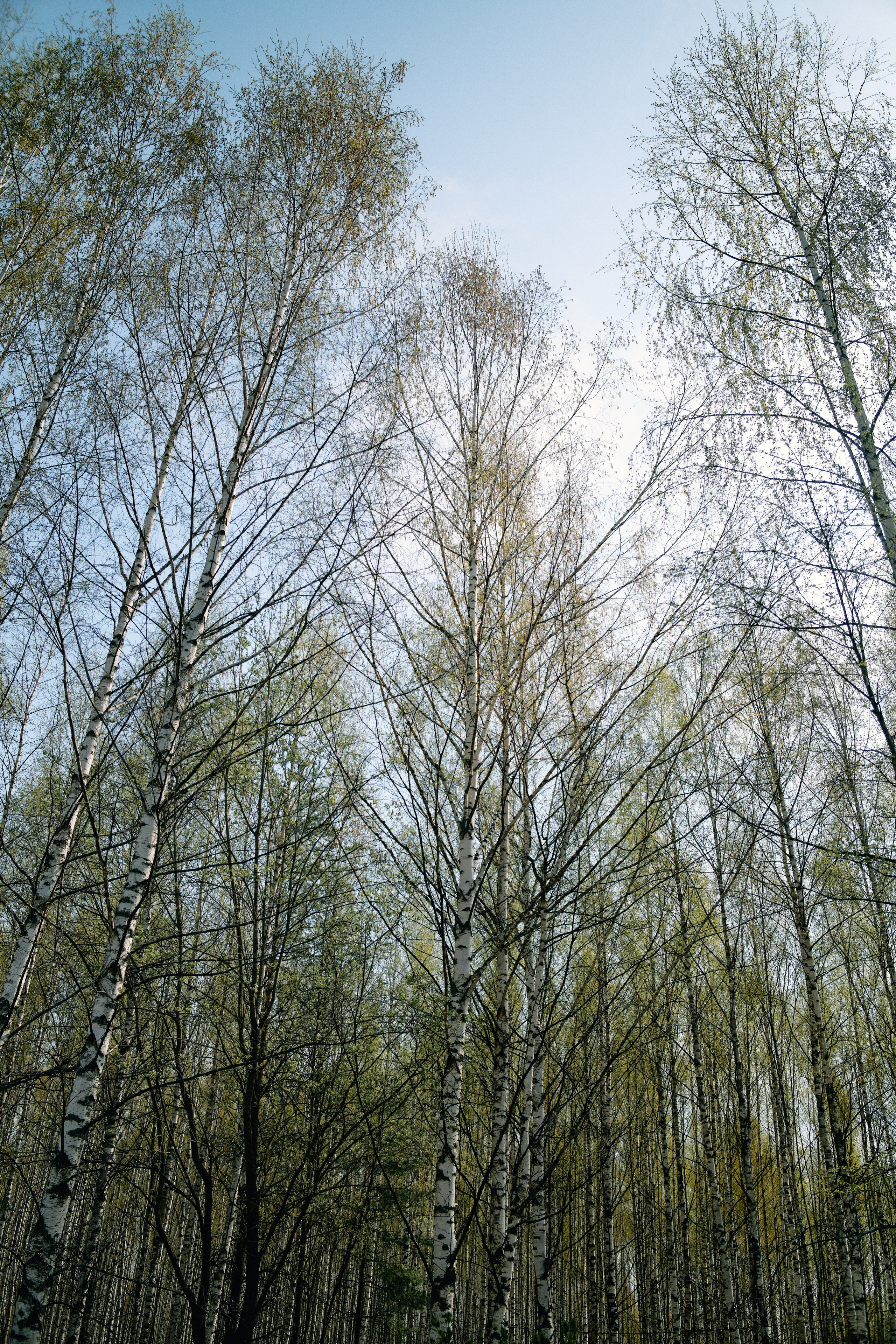 Бутик-отель Поле летом. Профессиональный Фотограф во Владимире, в Москве и в Суздале — Полина Романычева