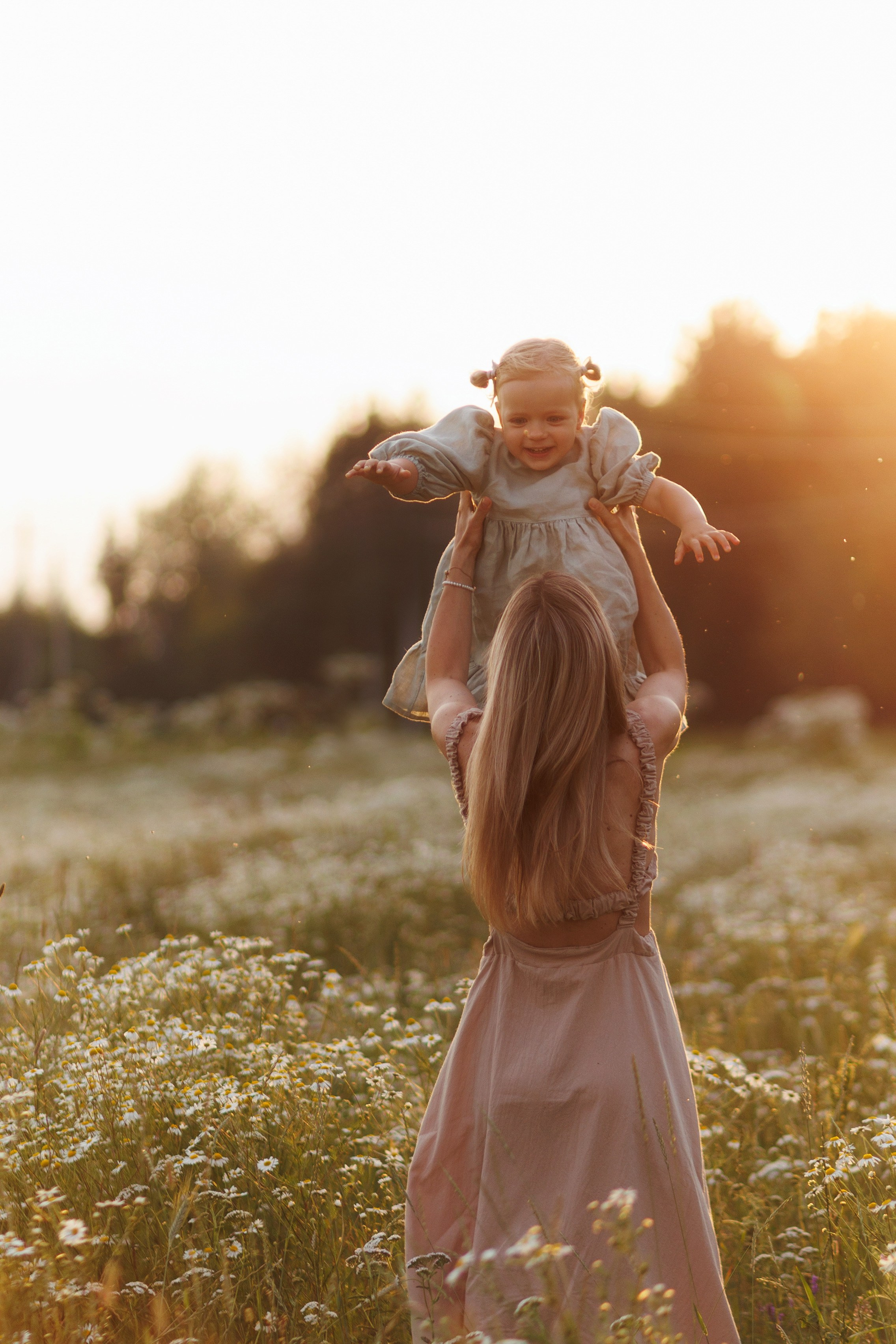 В ромашковом поле. Фотограф в Красногорске и Москве