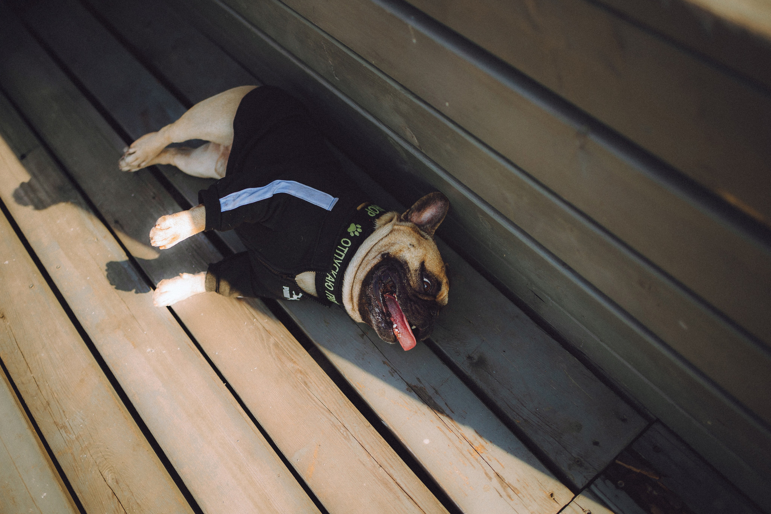 Настя, Женя и Хонор