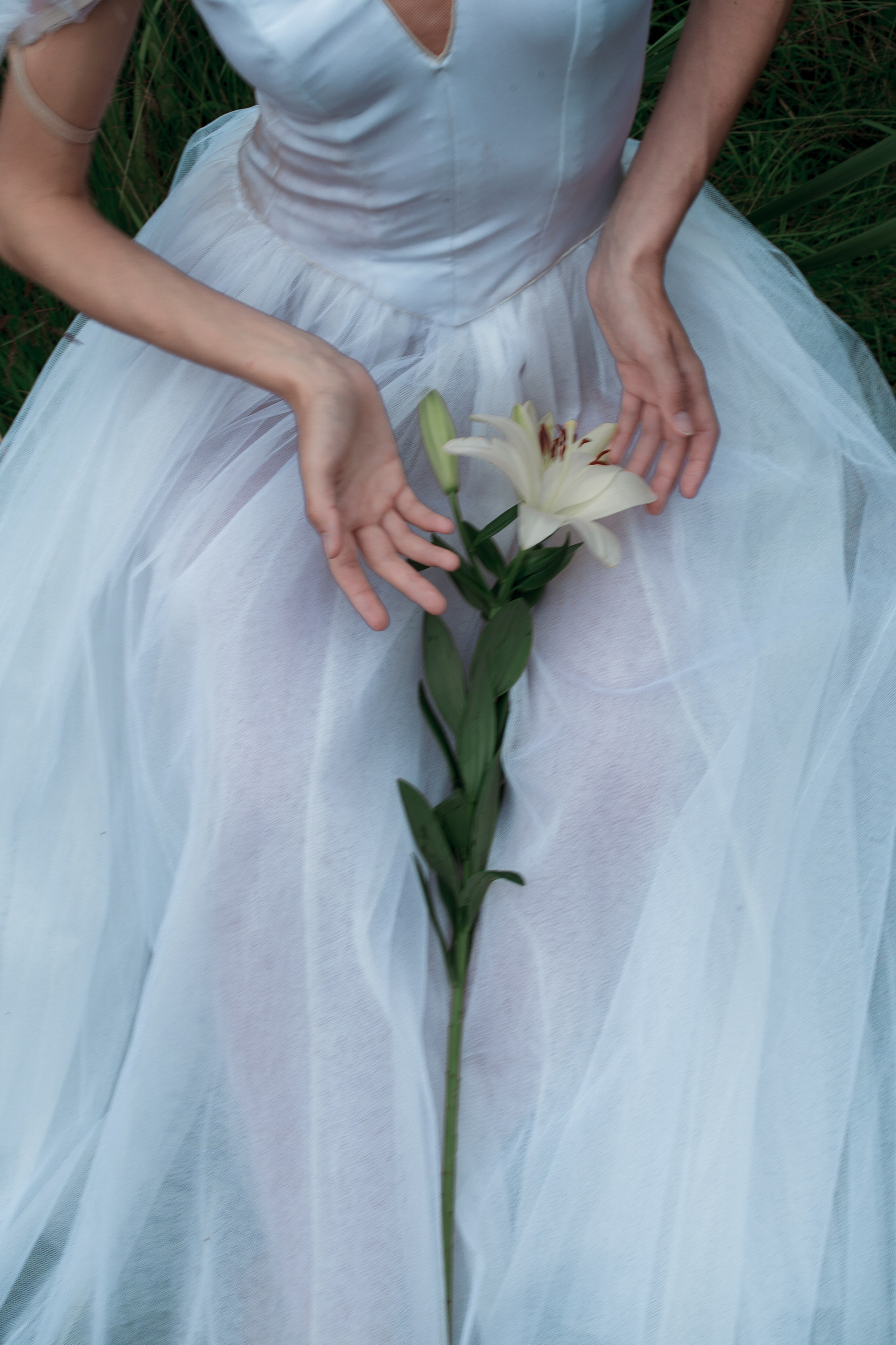 Жизель. Психолог с фотоаппаратом Зимина Оксана