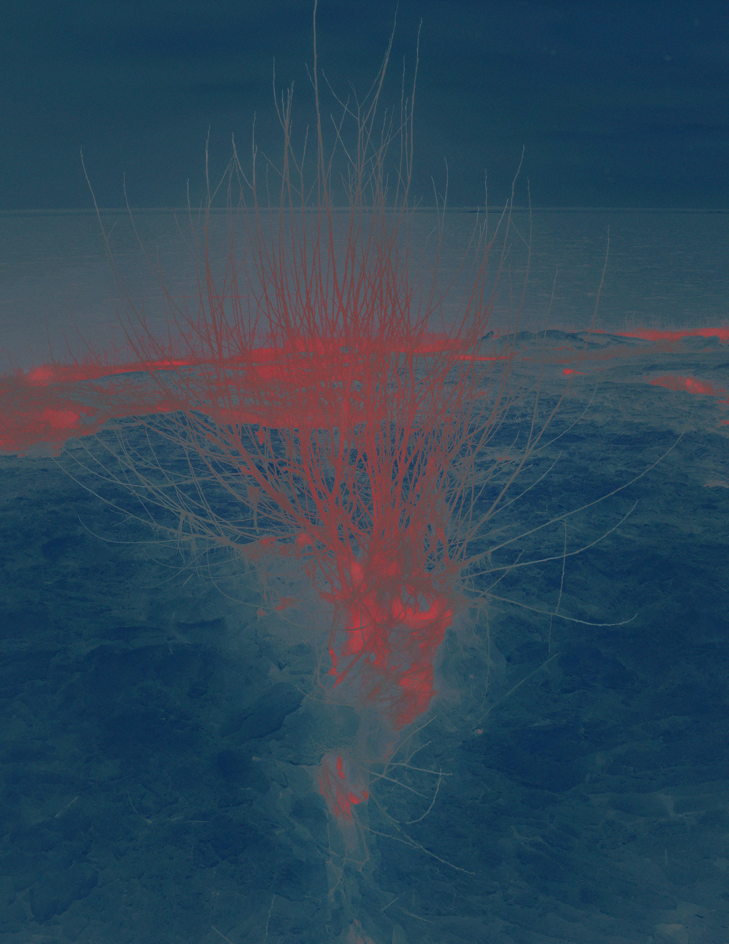 Свет рассыпается. Художественная фотография в Санкт-Петербурге Алина Берёзкина
