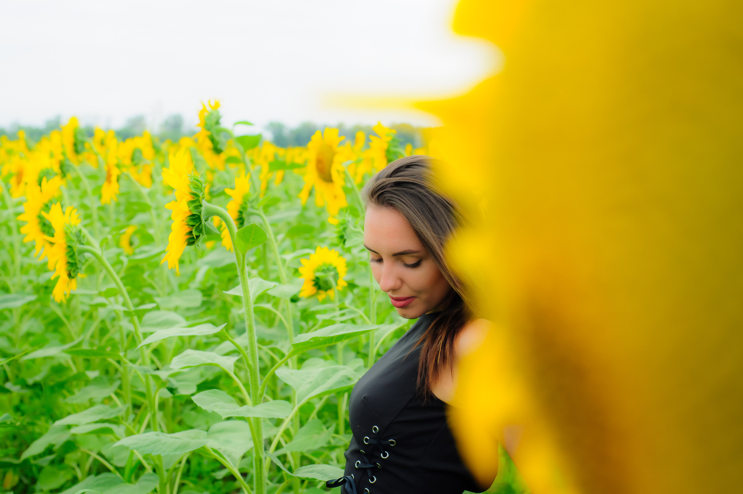Индивидуальные съемки. Свадебный и семейный фотограф Денис Лукьянов в Краснодаре, Краснодарском крае и Республике Крым