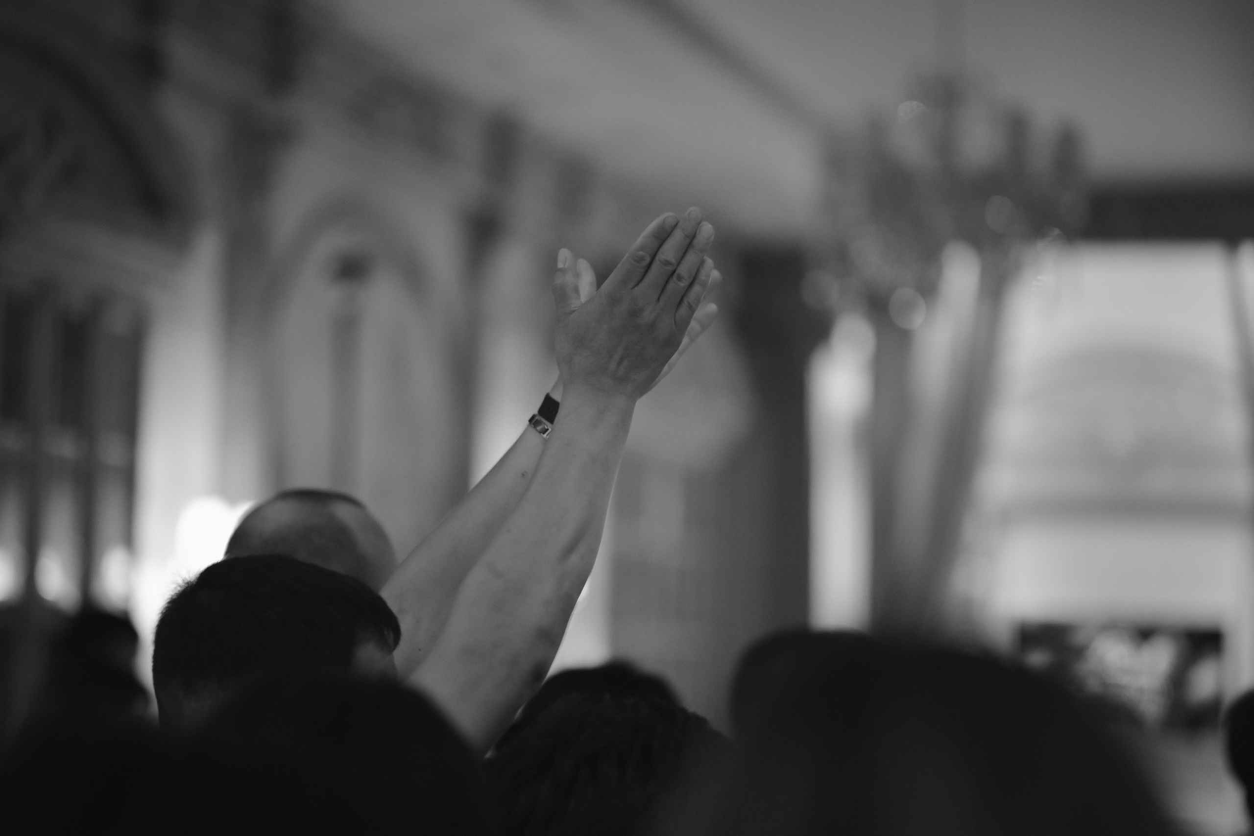 Алиса и Павел