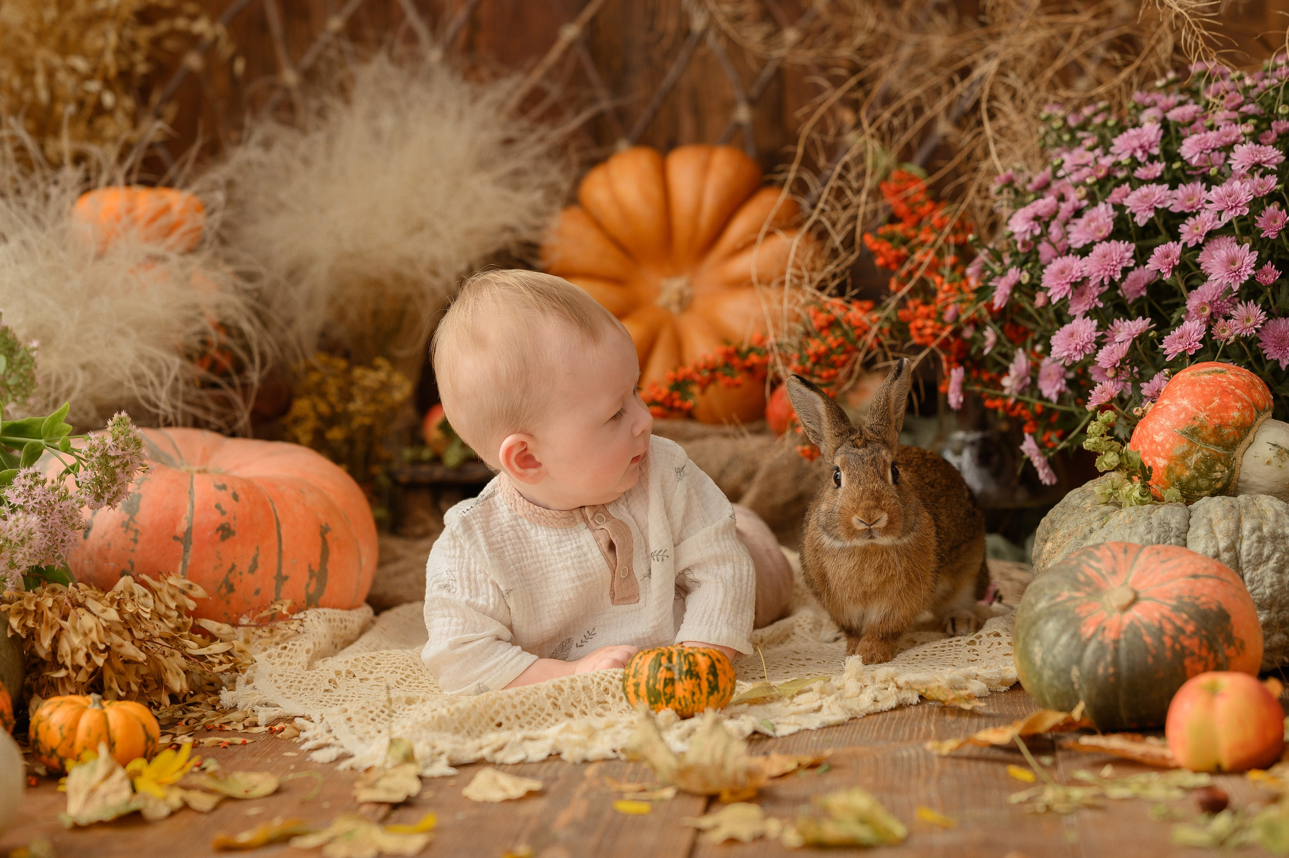 Дамирчик и кролик в тыквах. Детский и семейный фотограф Ирина Гладких