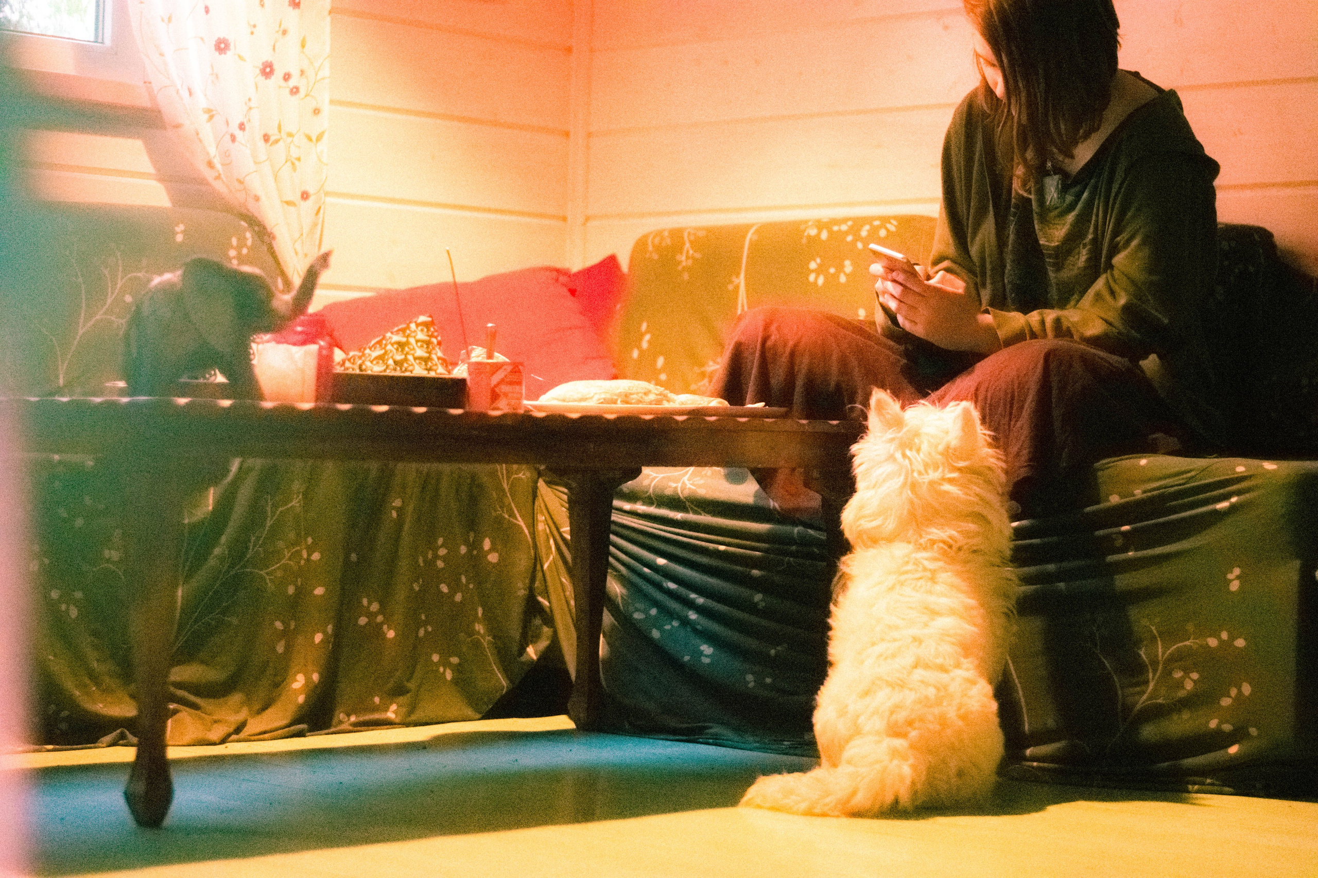 Интерьер. Элька Мурзина