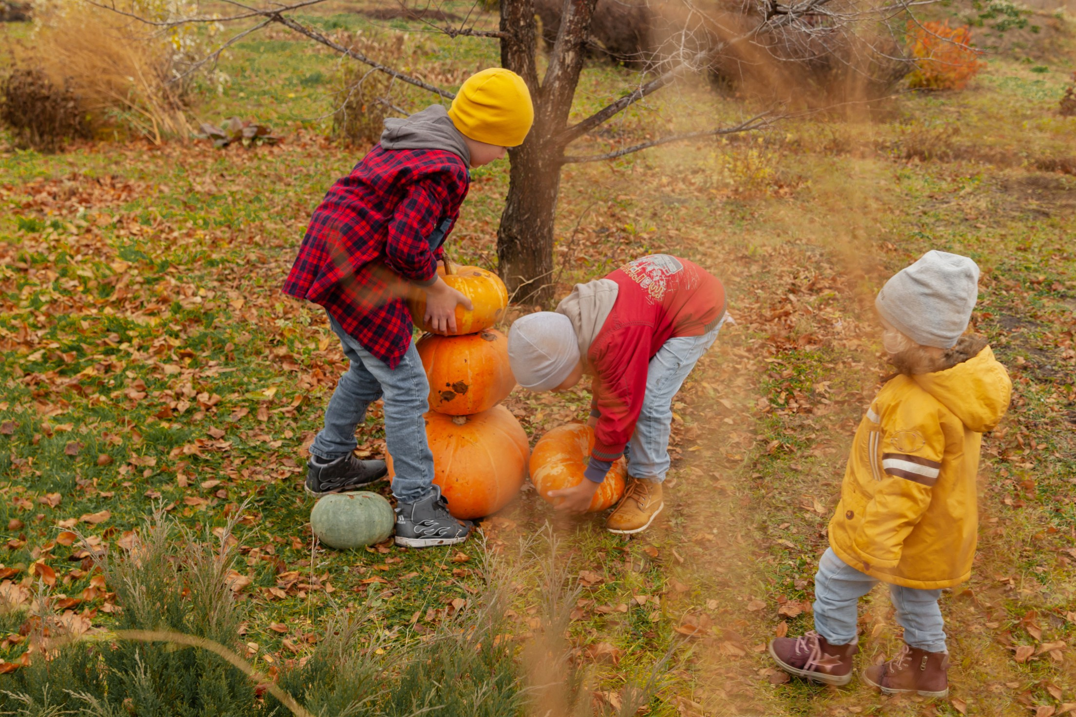 Осень. Детский и семейный фотограф в Бердске и Новосибирске Дарья Гребнева