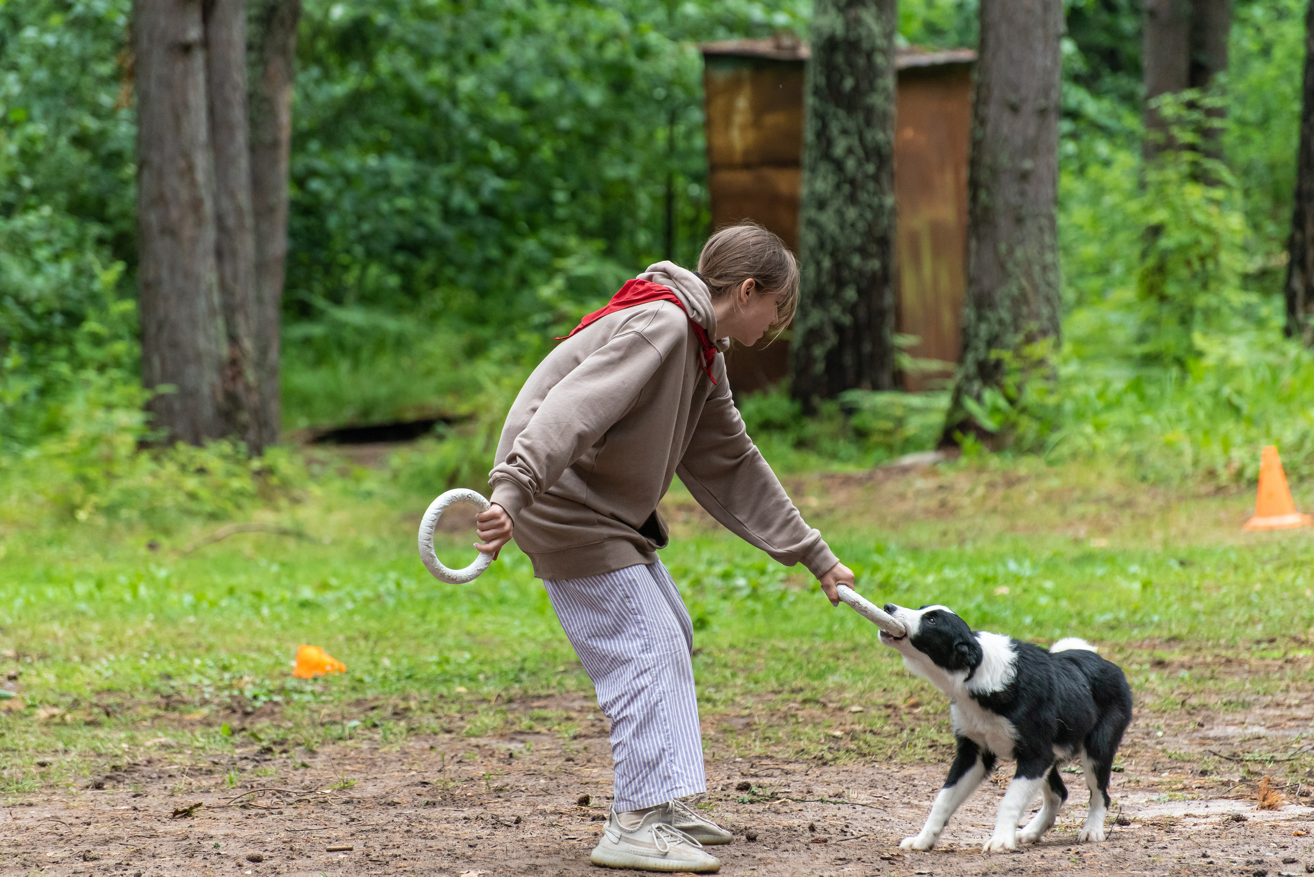 Хвостатые каникулы Детский кинологический лагерь. Фотограф Макс Огурцов в Нижнем Новгороде