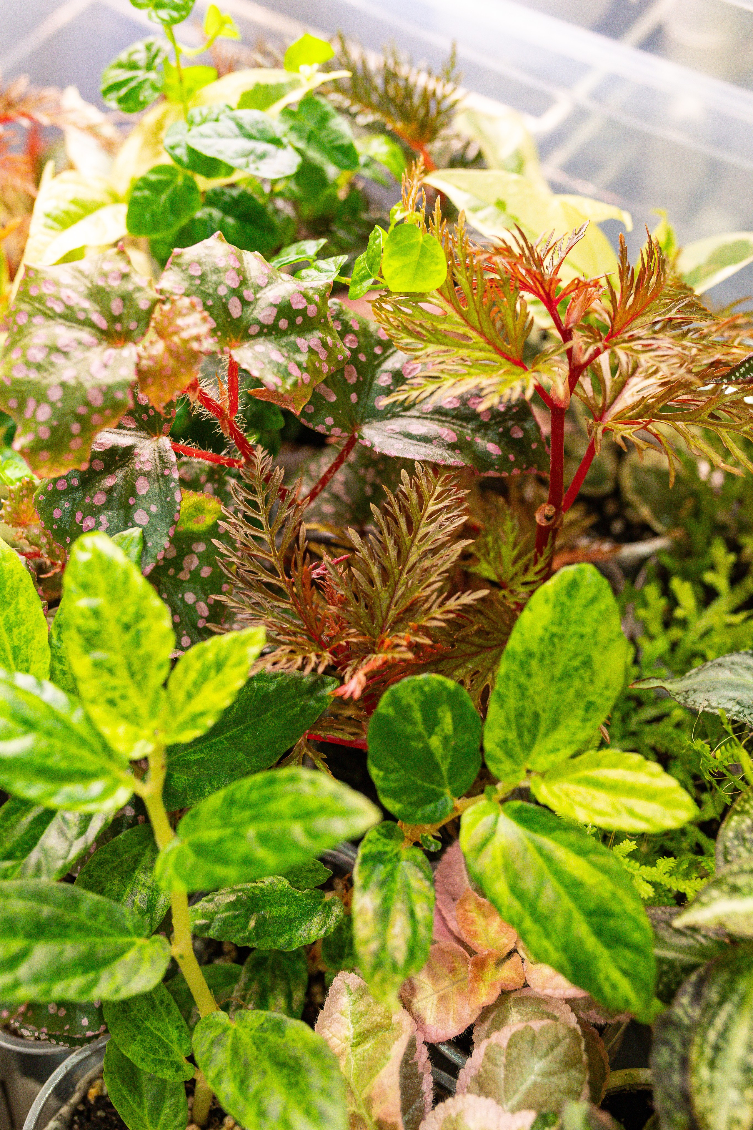 Монстериум 11–12 октября. Александра Куликова фотограф, Москва