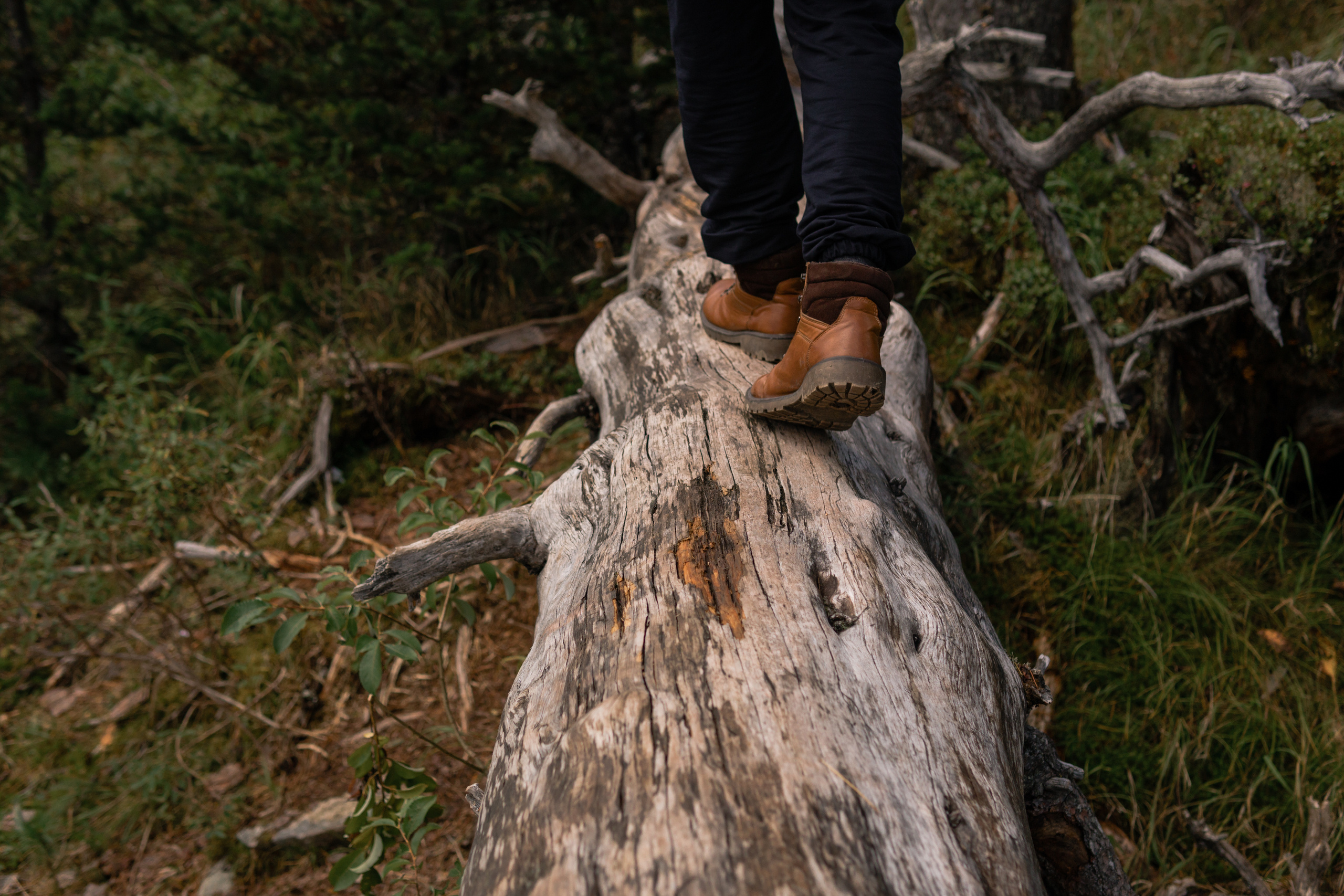 Отдых на Ергаки. Свадебный фотограф в Кызыле Ай-Херел Ондар