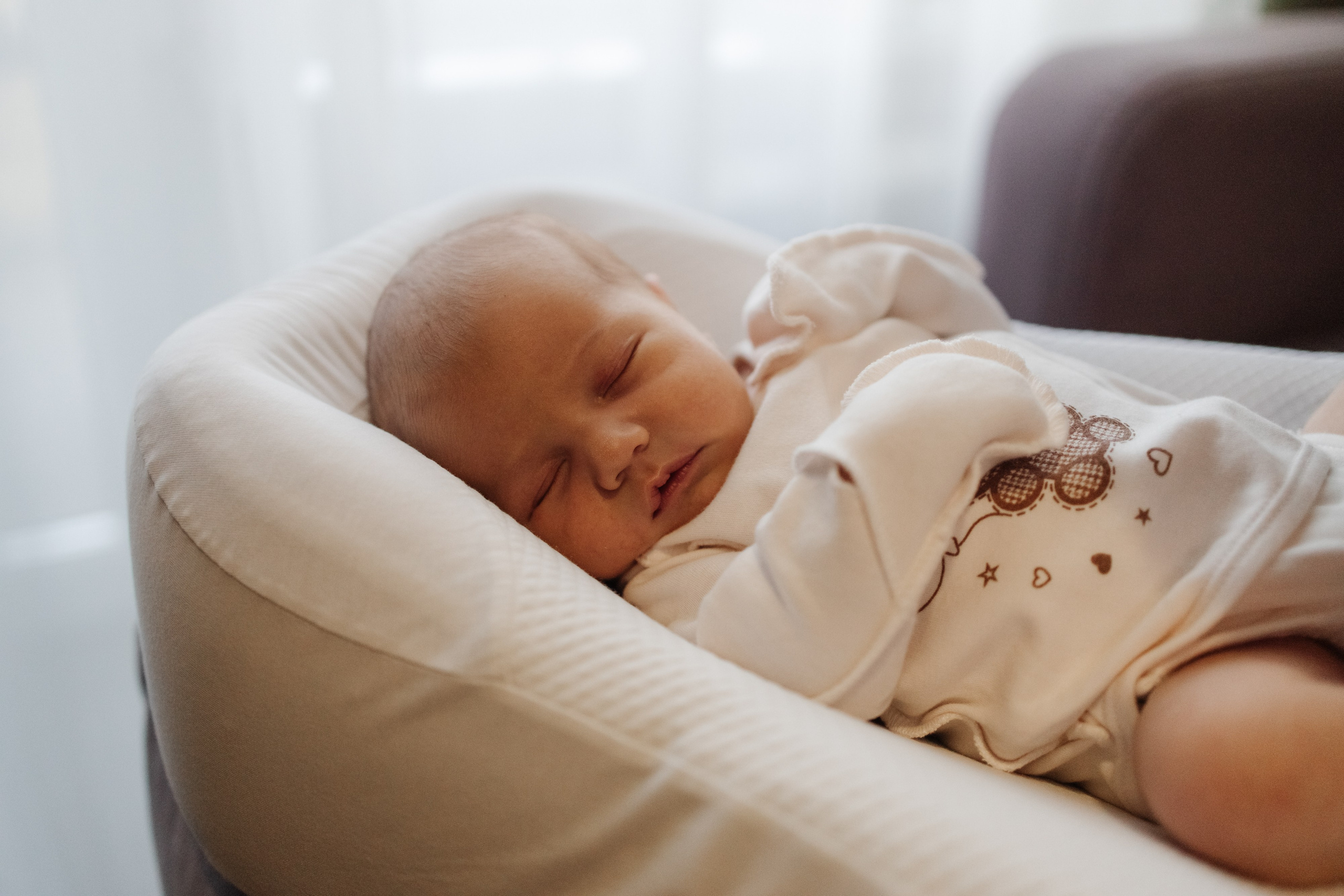 Гордей. Фотограф Новосибирск