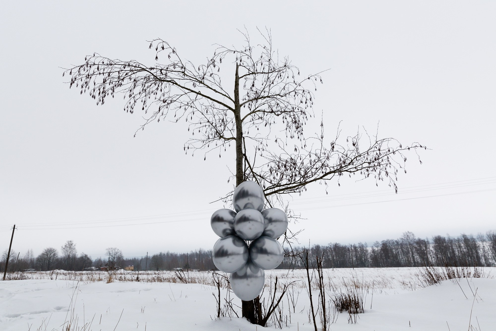 Бледная голубая точка. Надя Знаменская, художник и фотограф. Санкт-Петербург