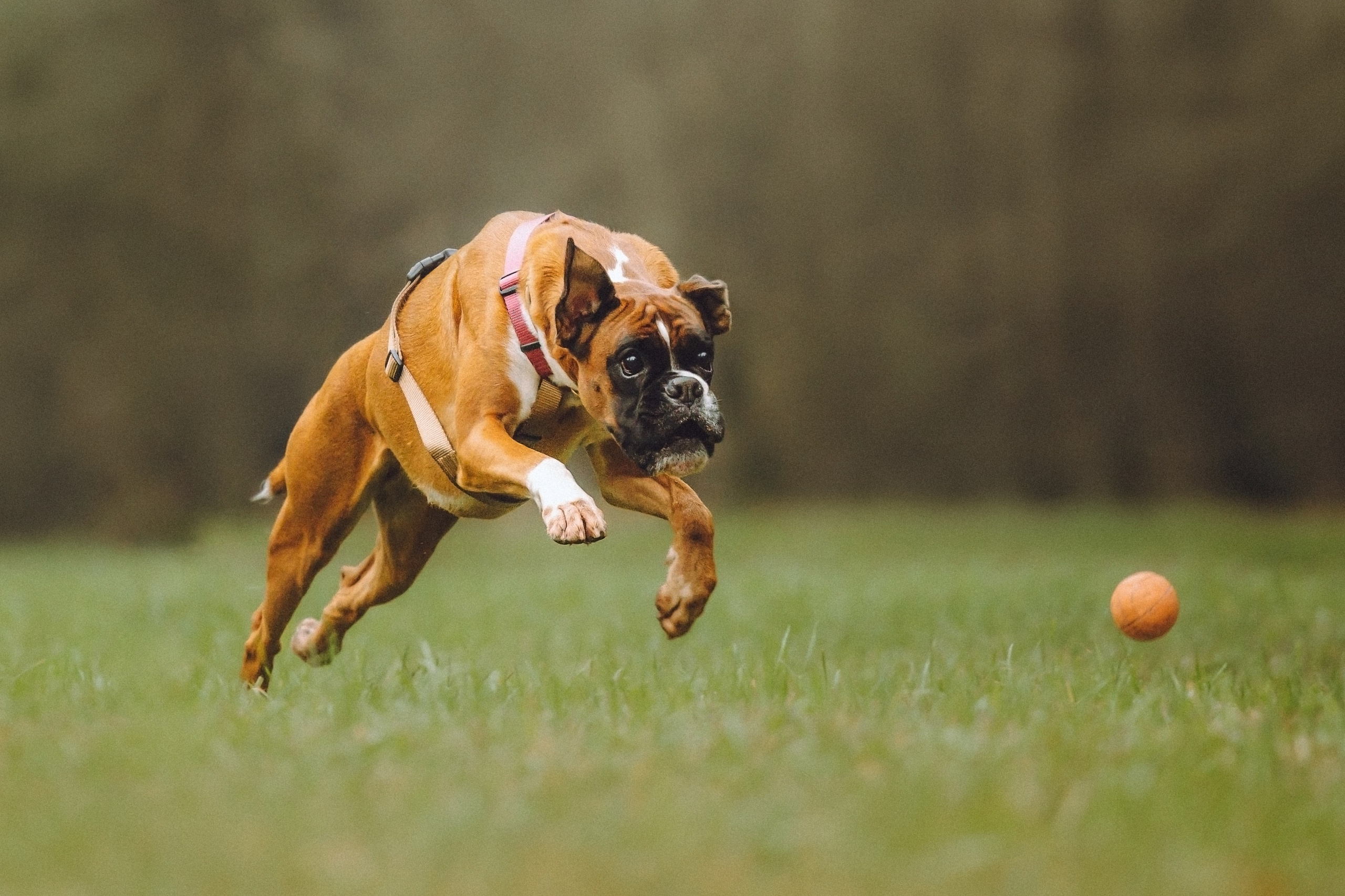 Элли и ее семья