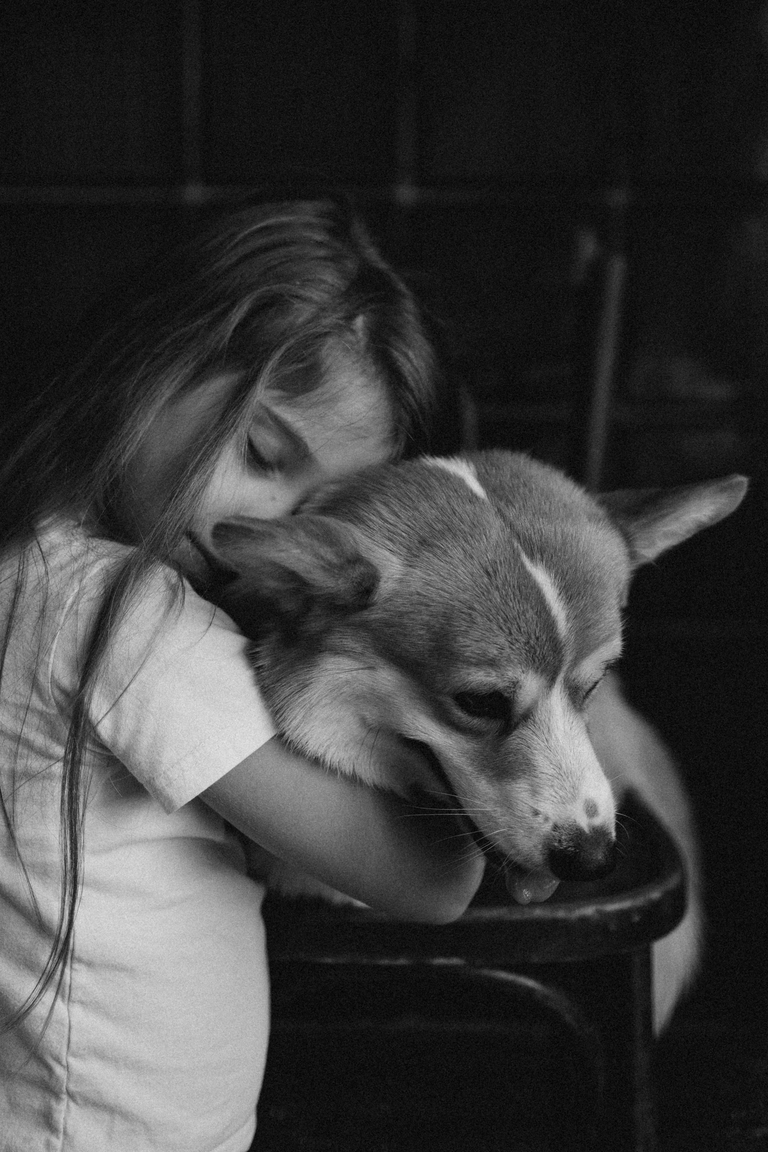 Зевс и его семья. Фотораф — анималист Мария Шистка