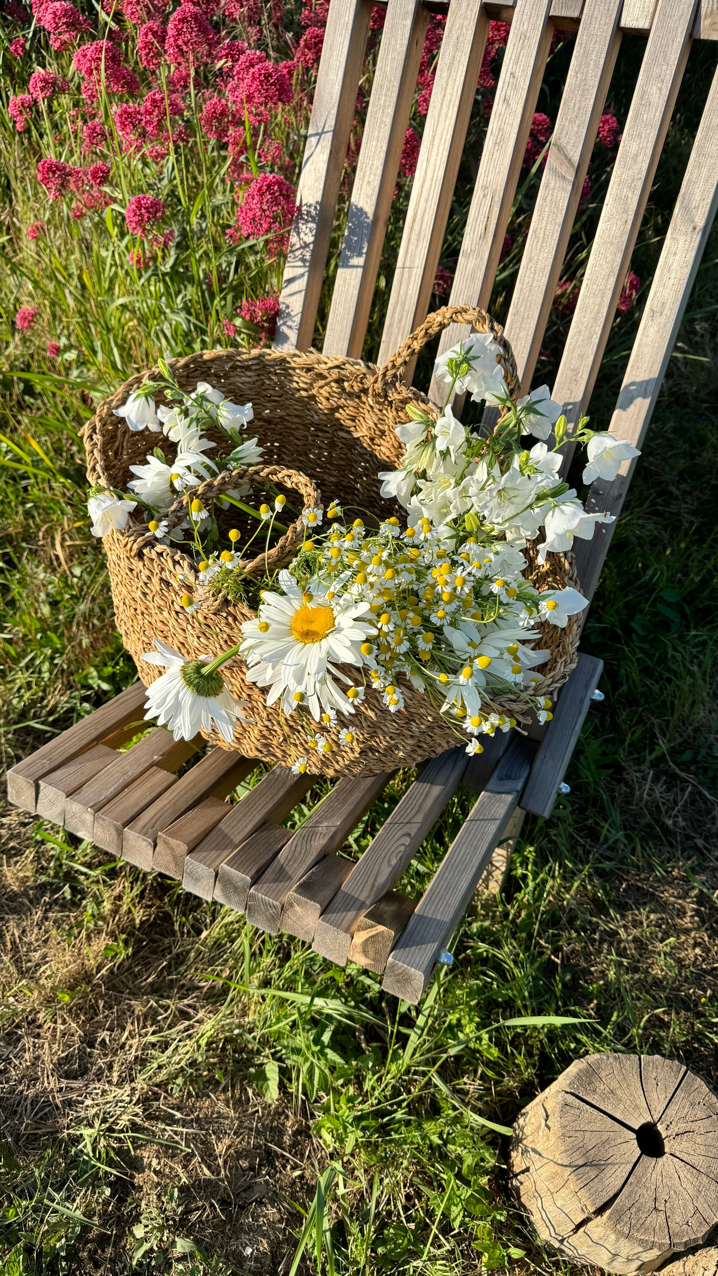 Локации с цветами. Фотостудия Натальи Забродской