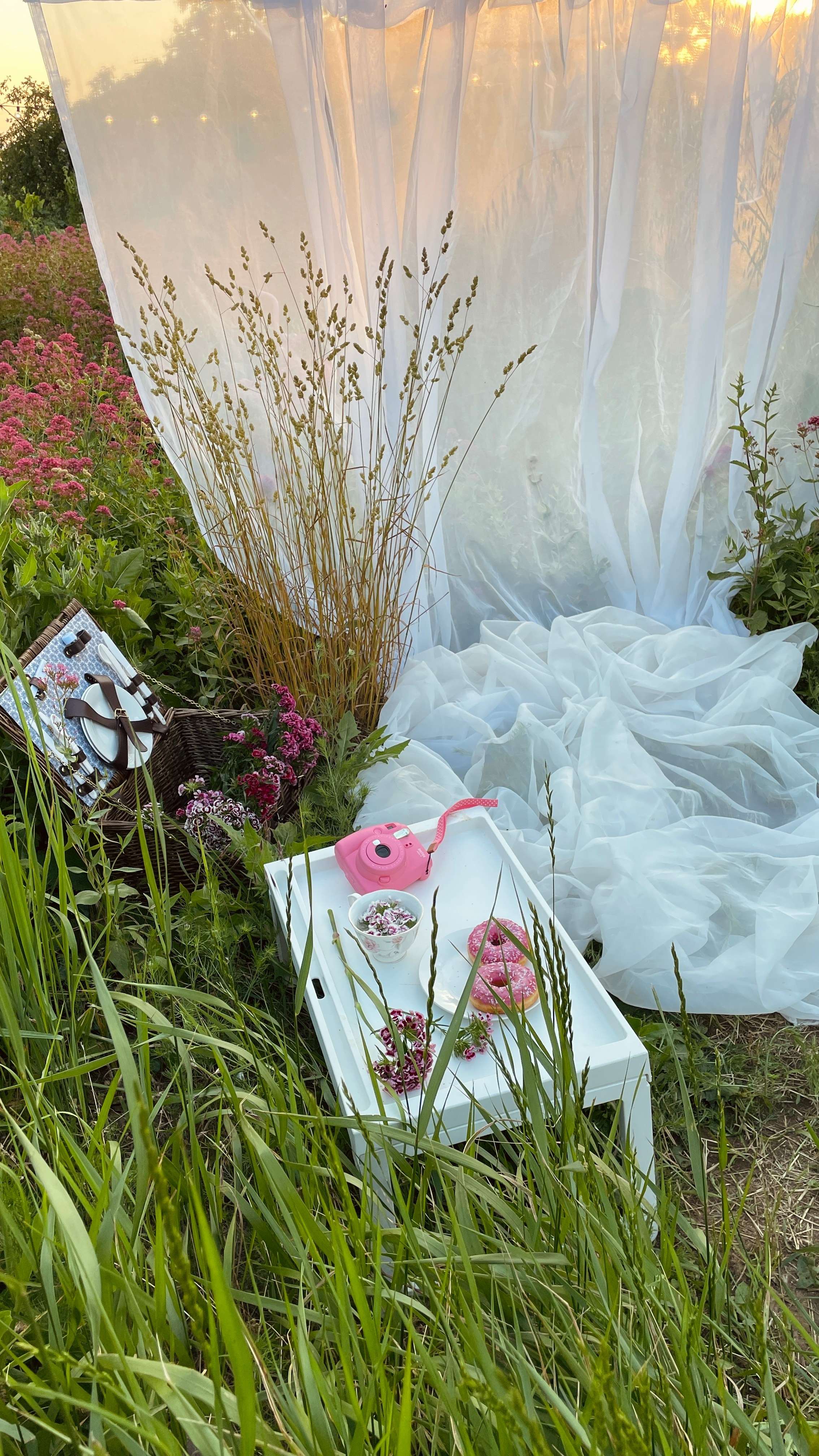 Пикники. Фотостудия Натальи Забродской