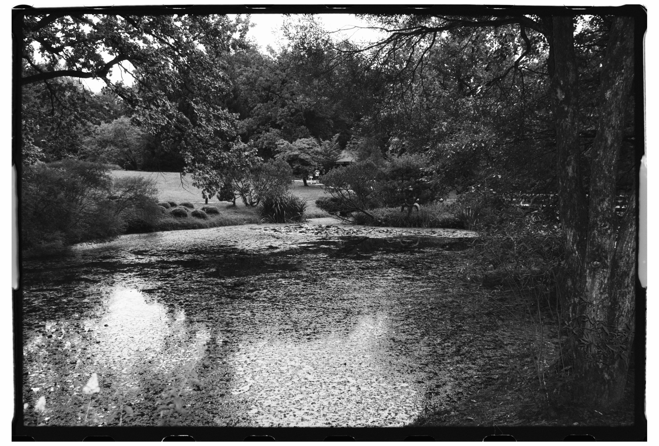 Модель Ася, пленка. Фотограф в Москве. Екатерина Митина