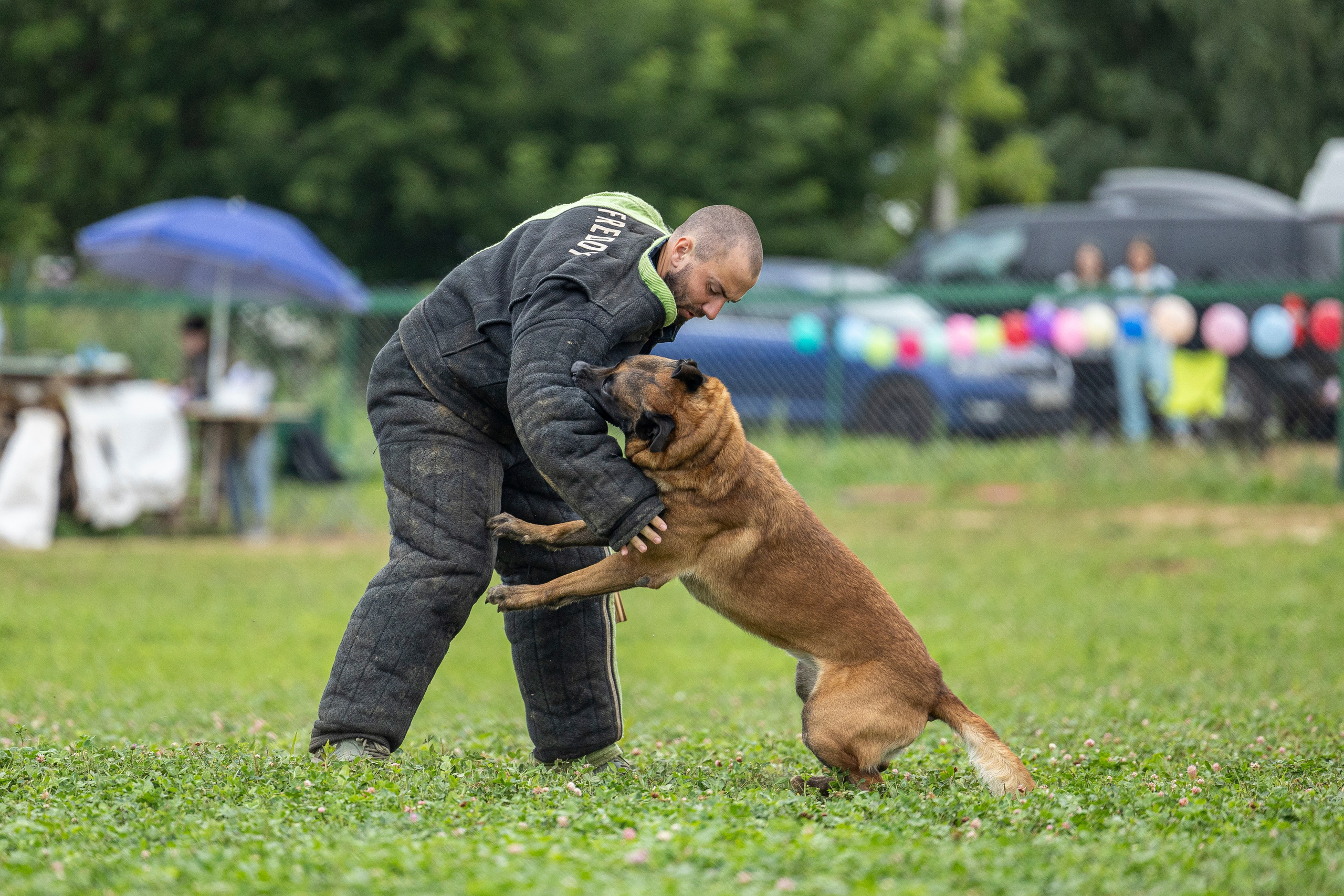 Соревнования по Мондьорингу г. Вологда 10-11.08.2024. Фотограф-анималист Анна Маринич