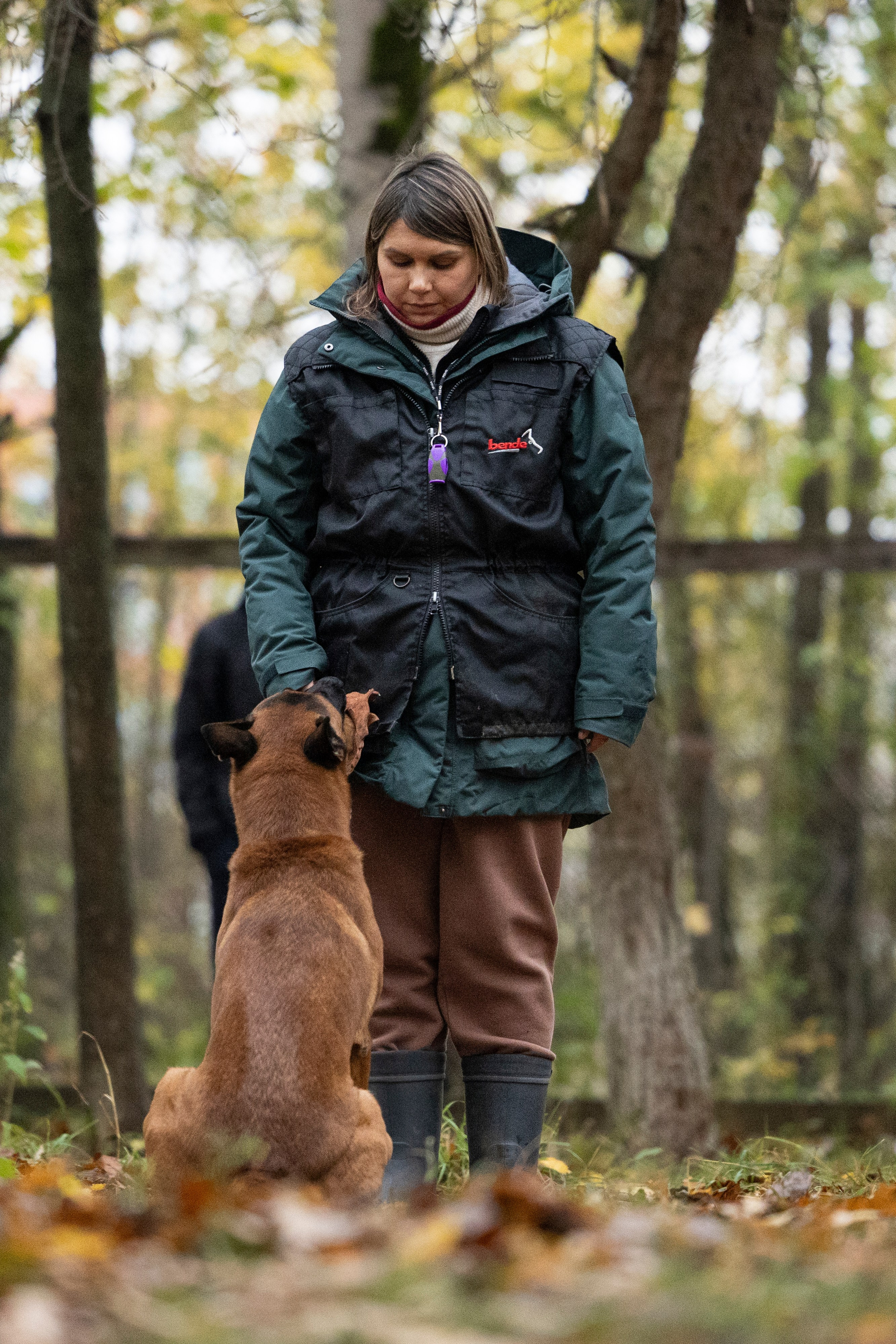 Соревнования по Мондьорингу г. Вологда. Фотограф-анималист Анна Маринич