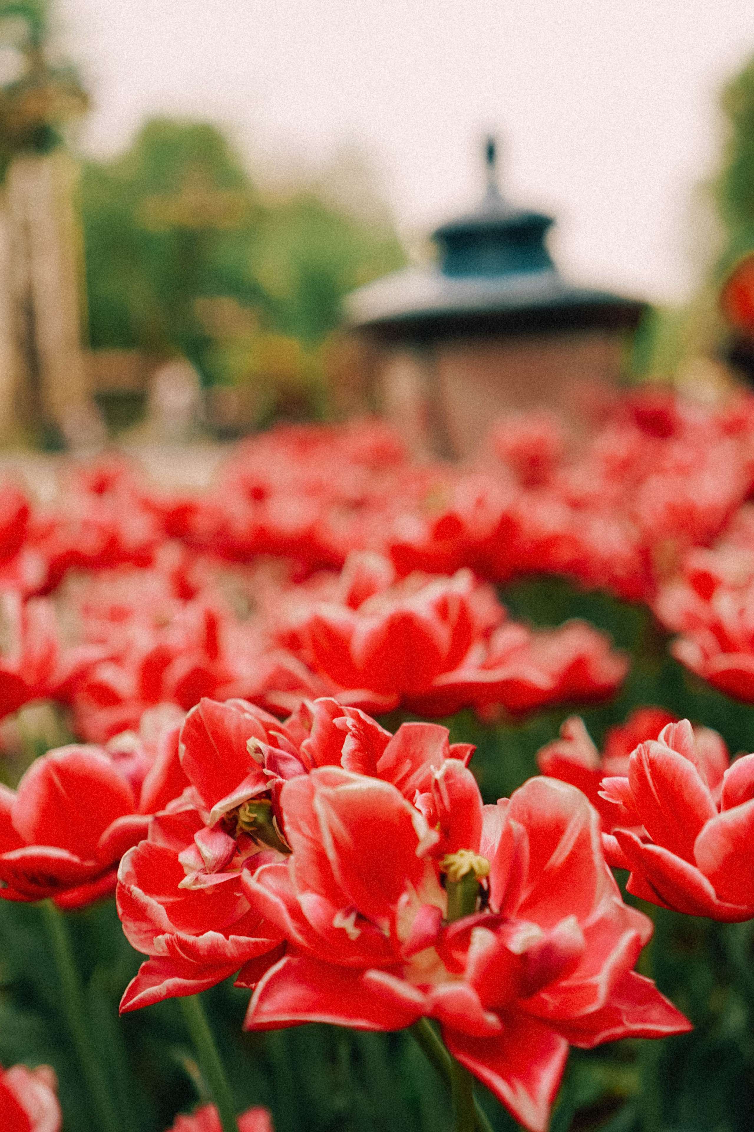 КИСЛОВОДСК. Профессиональный фотограф, Санкт-Петербург — Виктория Богомолова