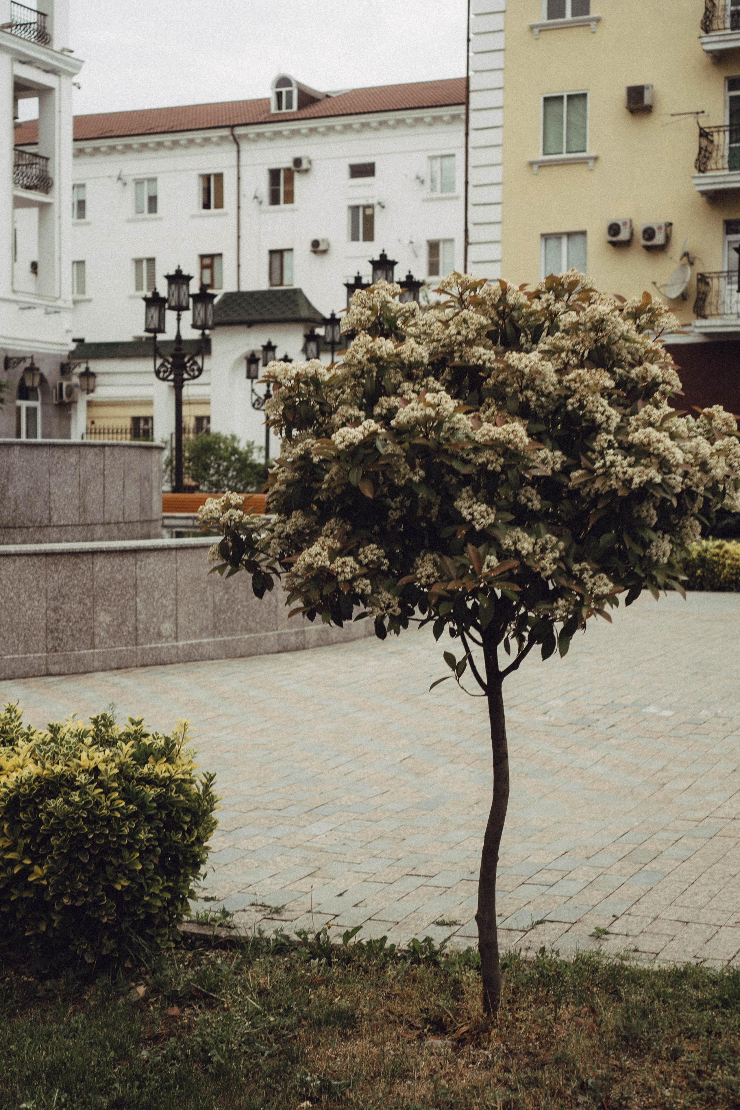 Кавказ. Профессиональный фотограф, Санкт-Петербург — Виктория Богомолова