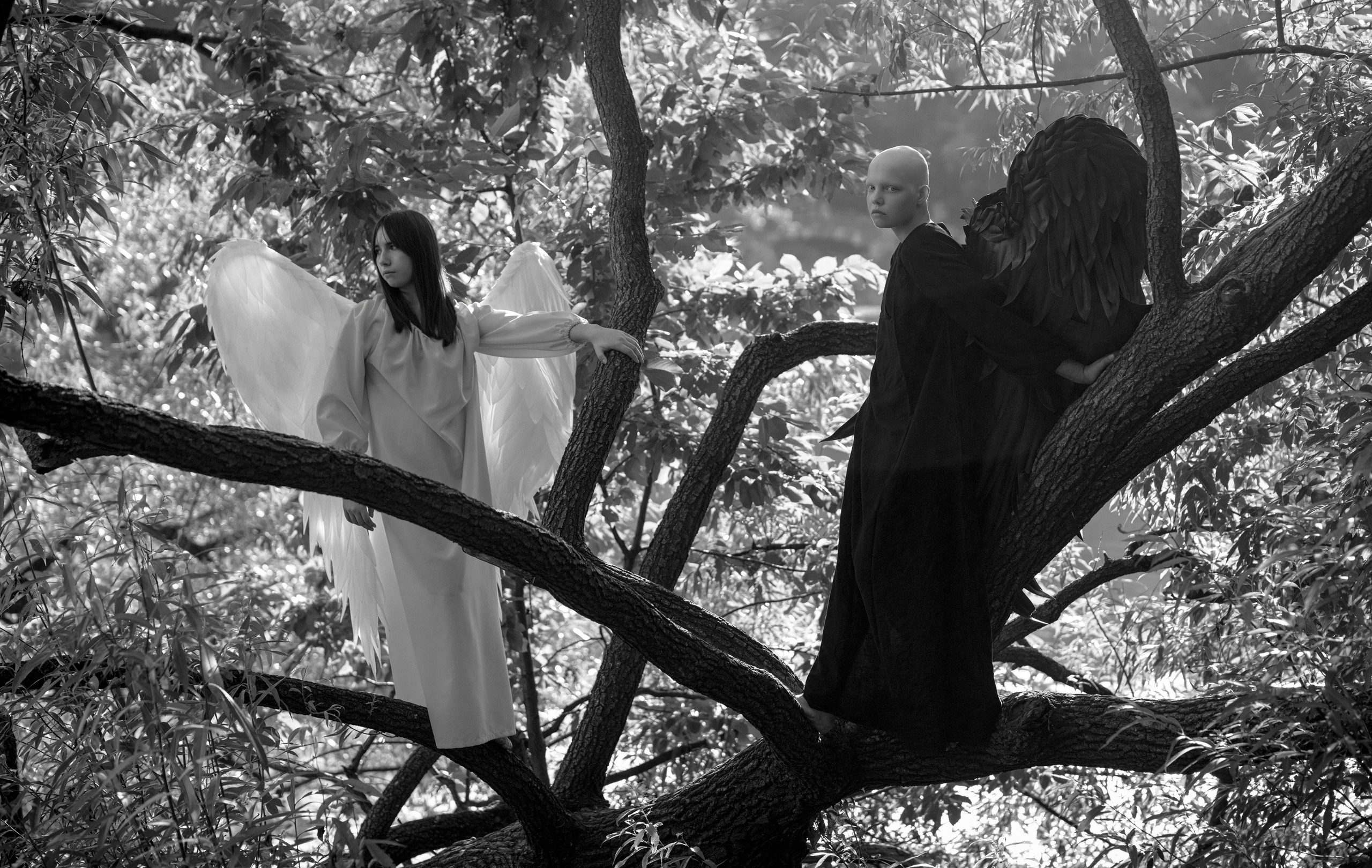 Ангелы. Фотограф Сергей Танков