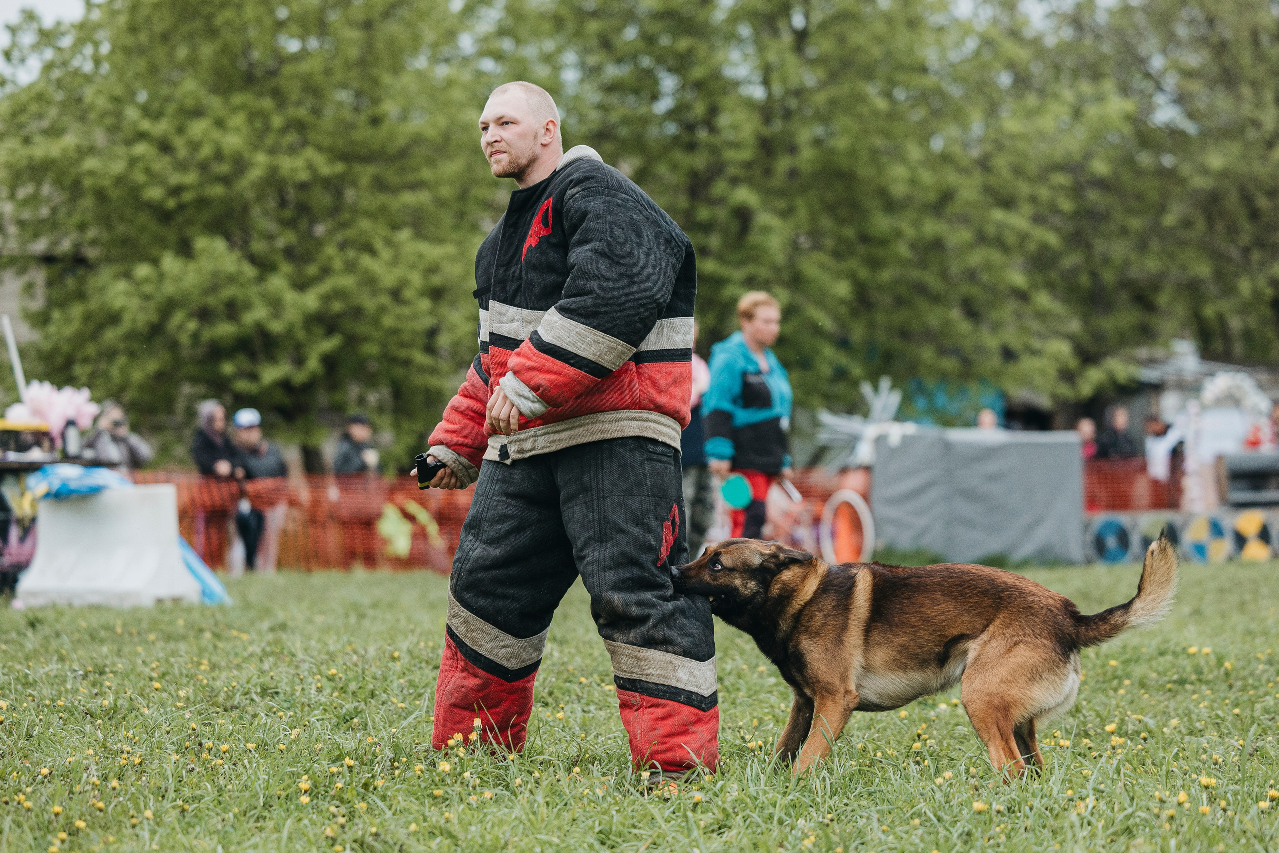 26.05.25 г. Пушкин квалификационные соревнования. Фотограф-анималист Анна Маринич