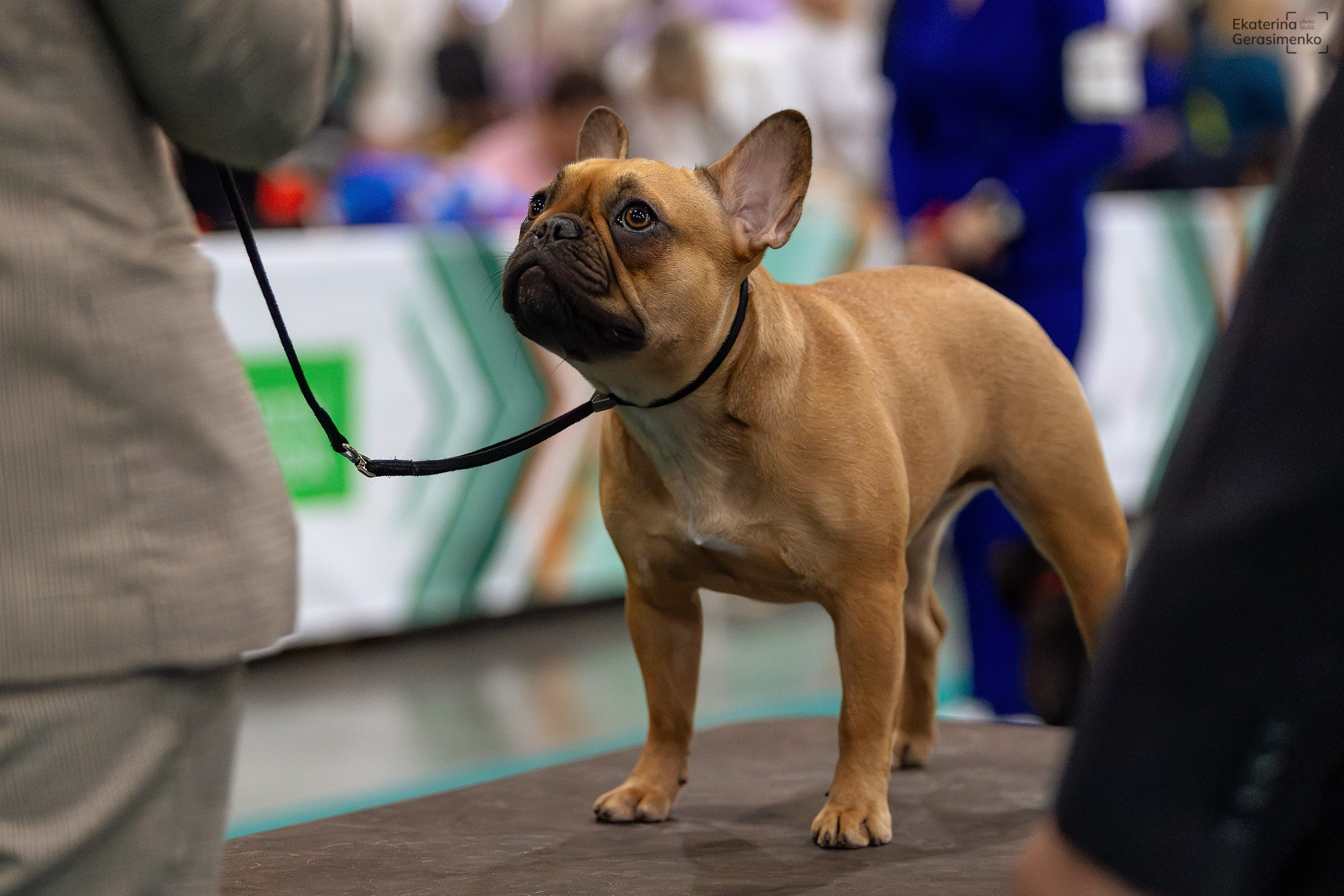16–17 ноября 2024, Выставка ЕВРАЗИЯ, г. Москва. Htykk_photo