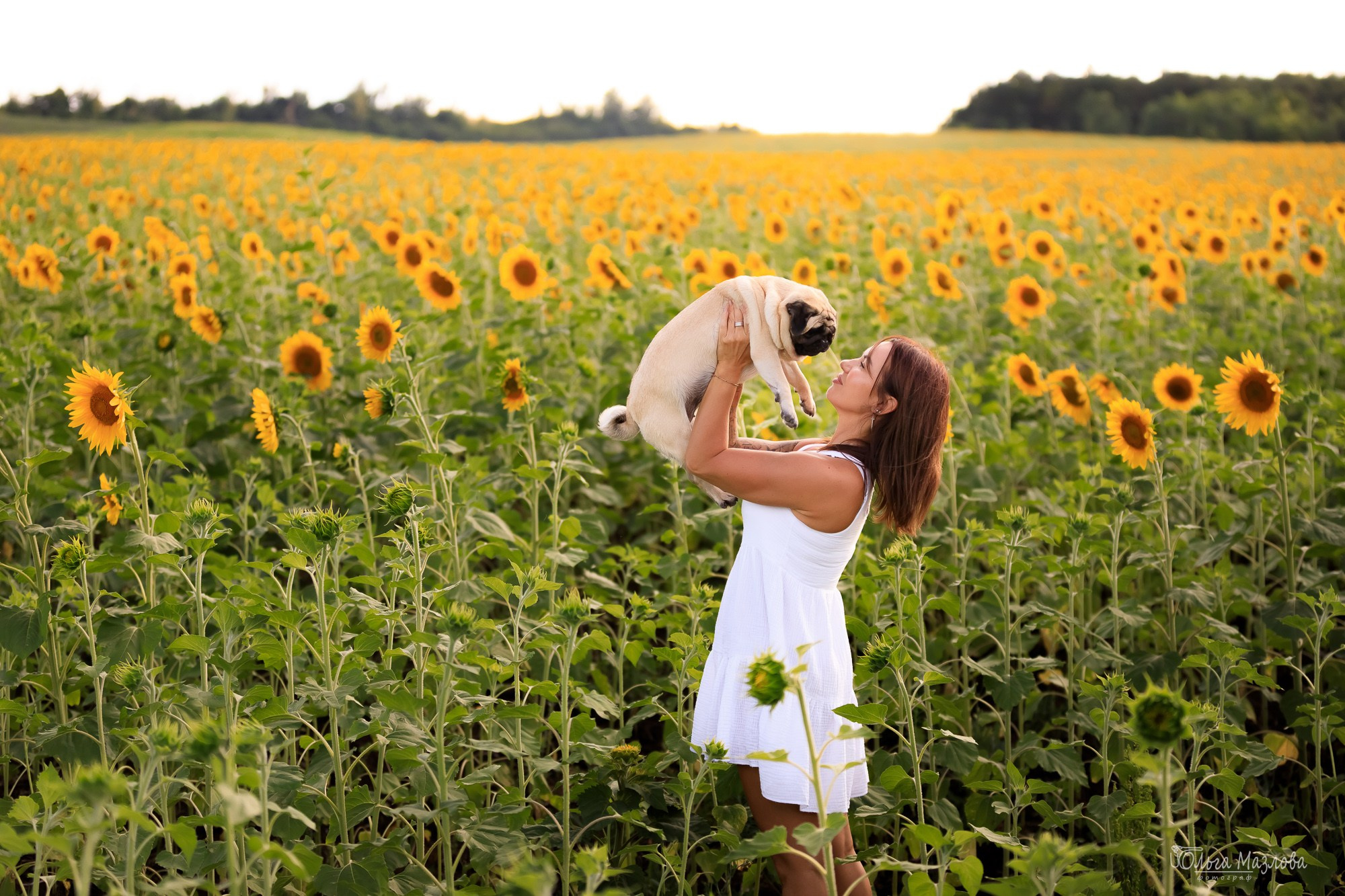 Фотосессия с питомцами. Фотограф в Саратове Ольга Мазлова