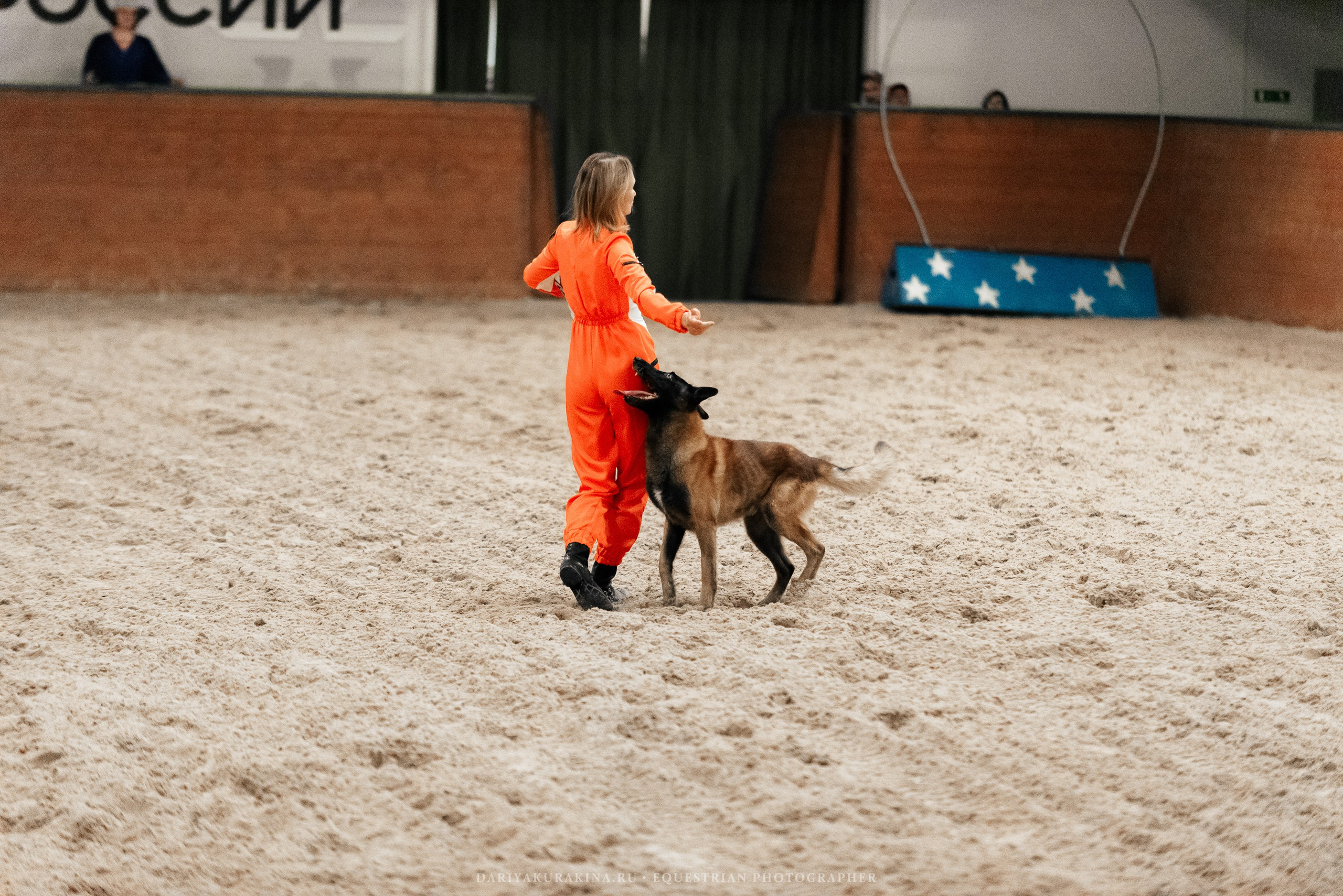 Конное представление «Дыхание Звёзд». Конный фотограф Куракина Дарья • Фотосессии с лошадьми