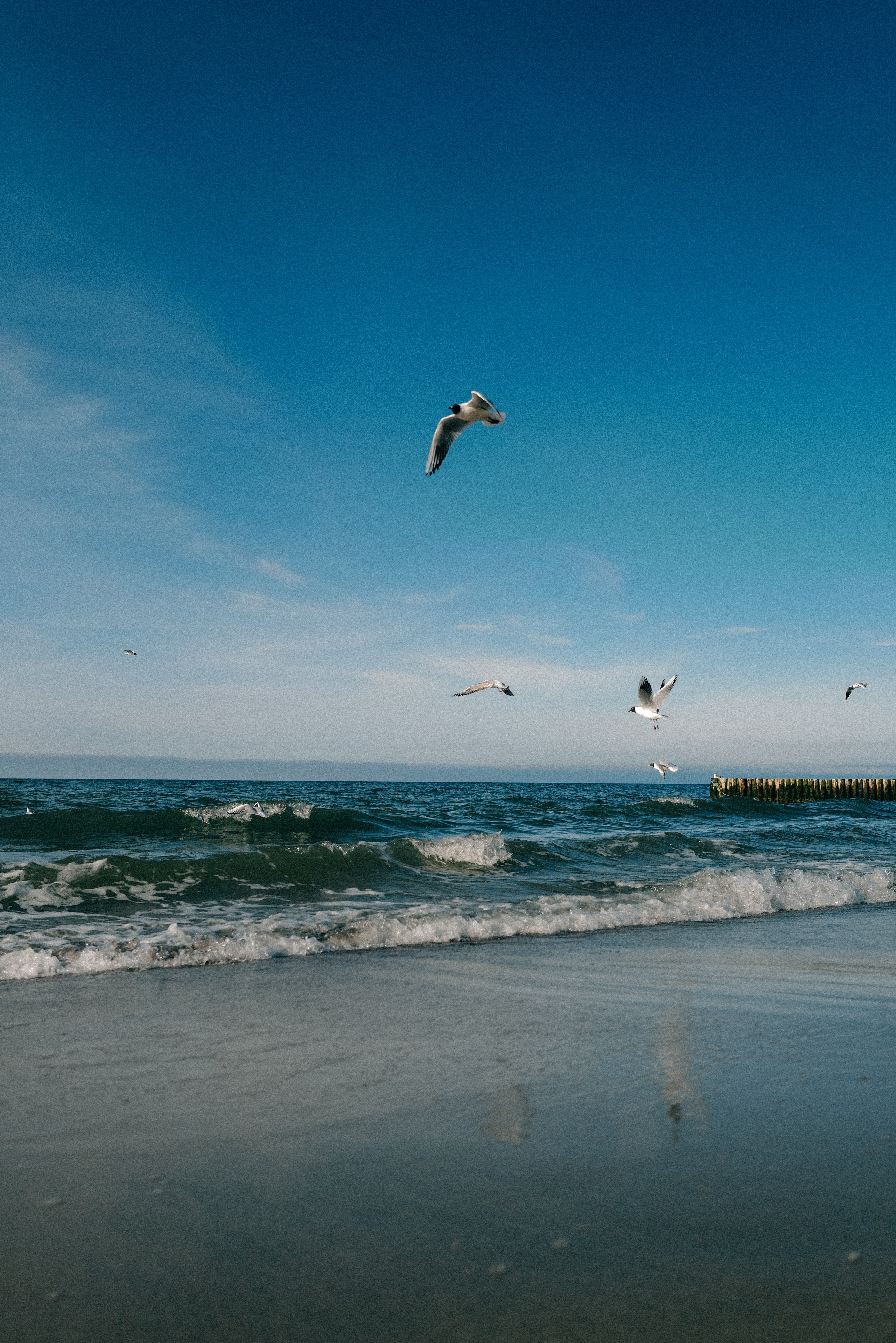 Zelenogradsk. Фотограф София Комкина