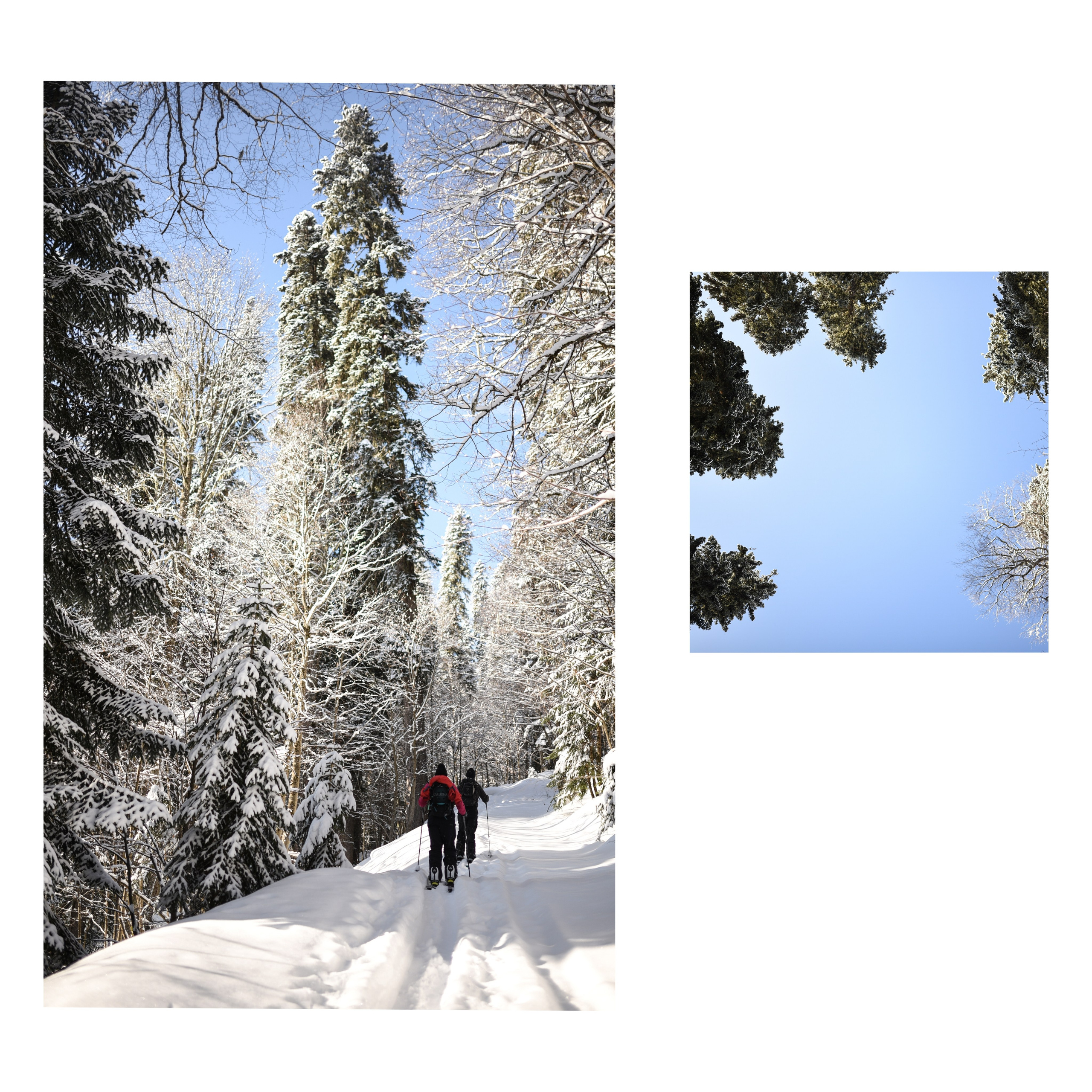 Winter Abjazia. Anastasia Serdyuk, travel photographer, travel photo, portraits, stories, fineart prints