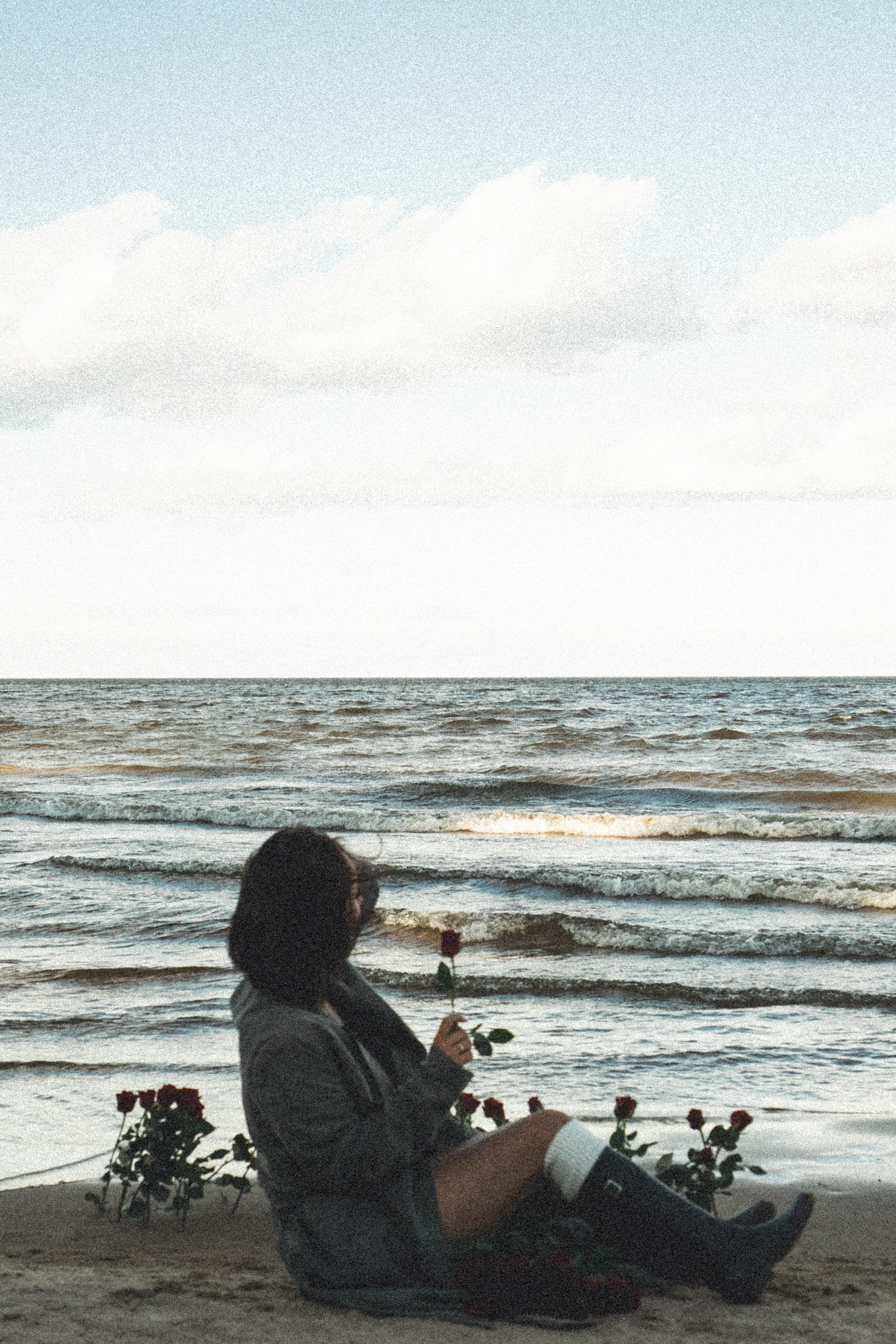 Розы. Профессиональный фотограф, Санкт-Петербург — Виктория Богомолова