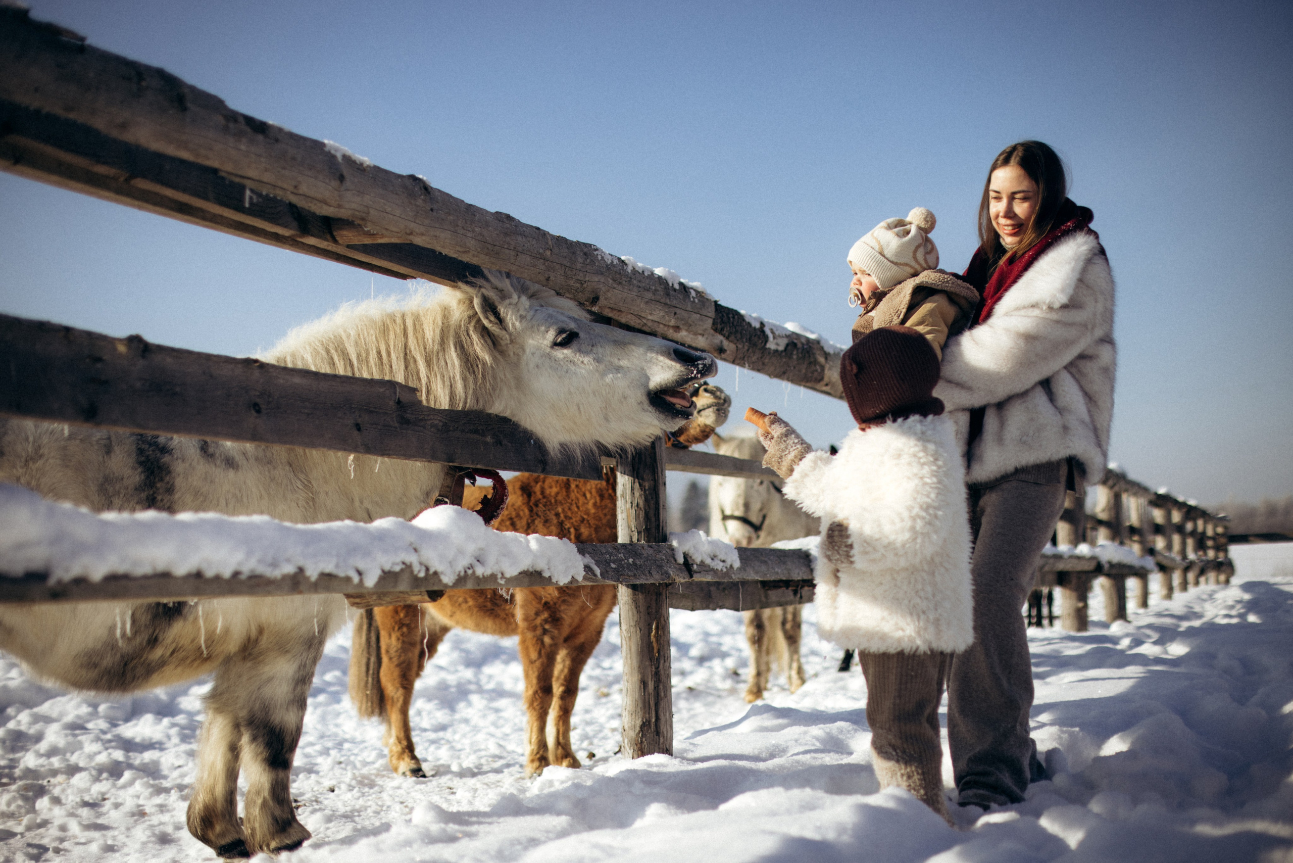 Настя с Сашей и Полей на ферме. Klerout Photographer