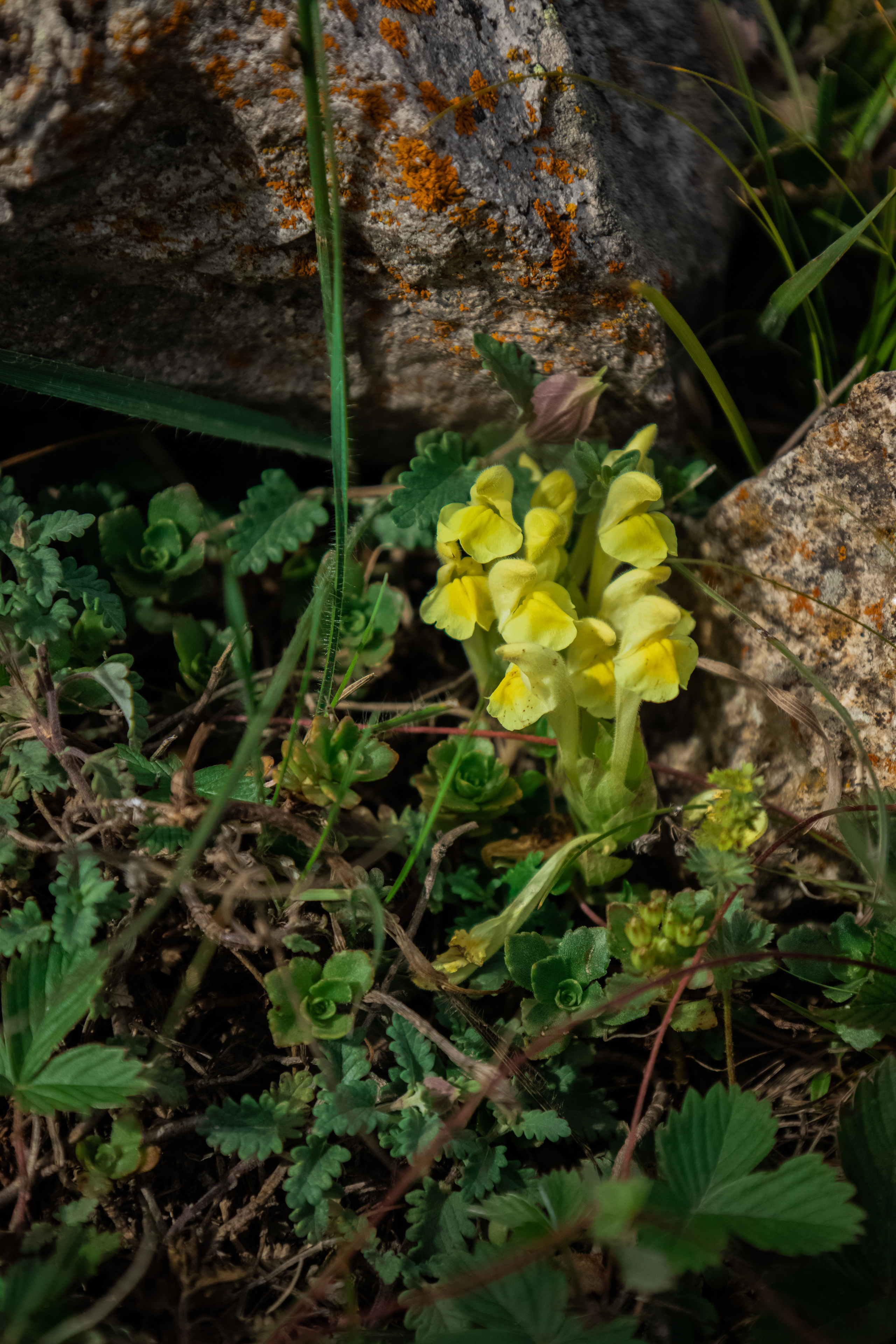 Красота Кабардино-Балкарии. Семейный детский фотограф Краснодарский край Оксана Колос