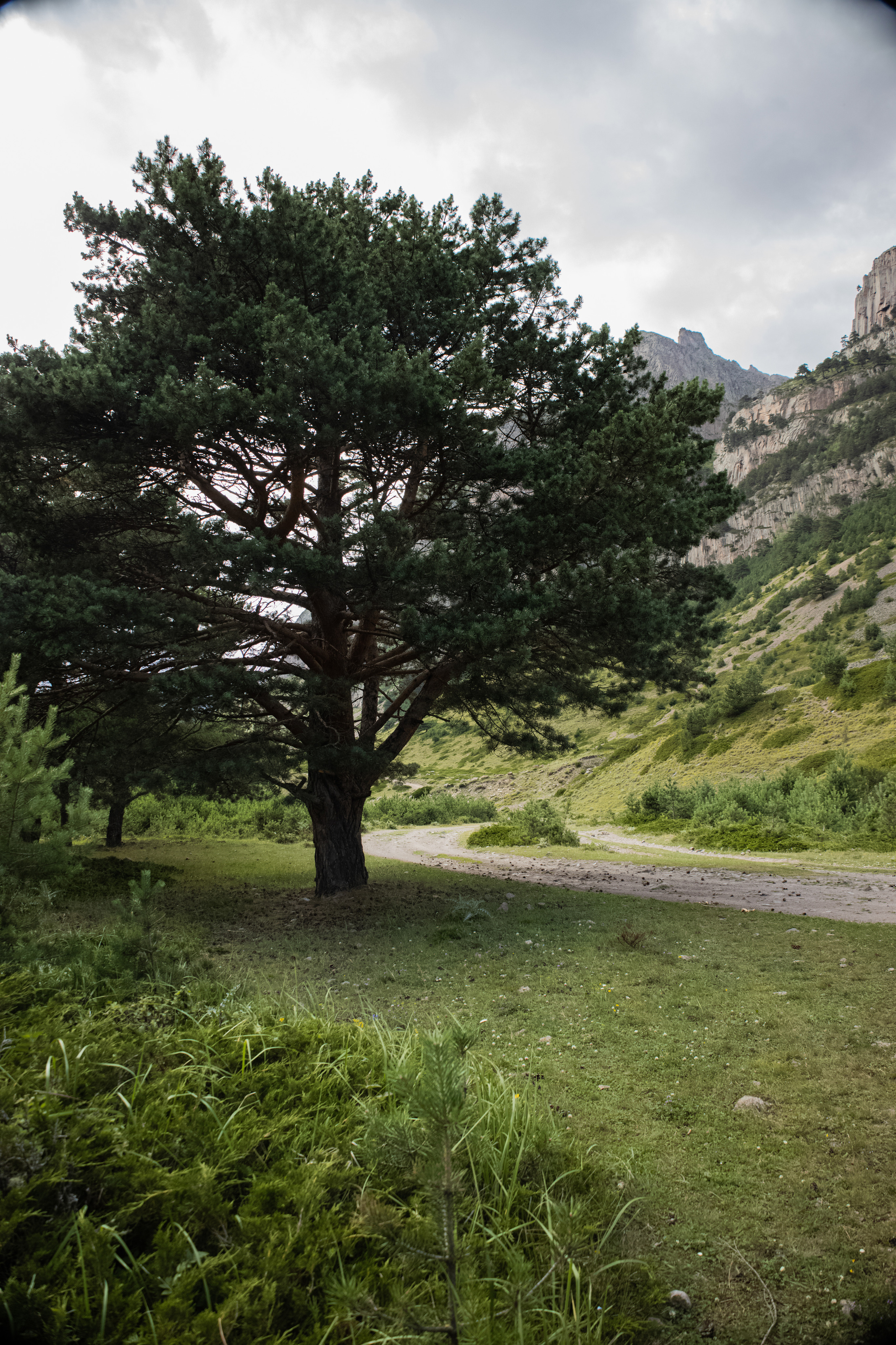Красота Кабардино-Балкарии. Семейный детский фотограф Краснодарский край Оксана Колос