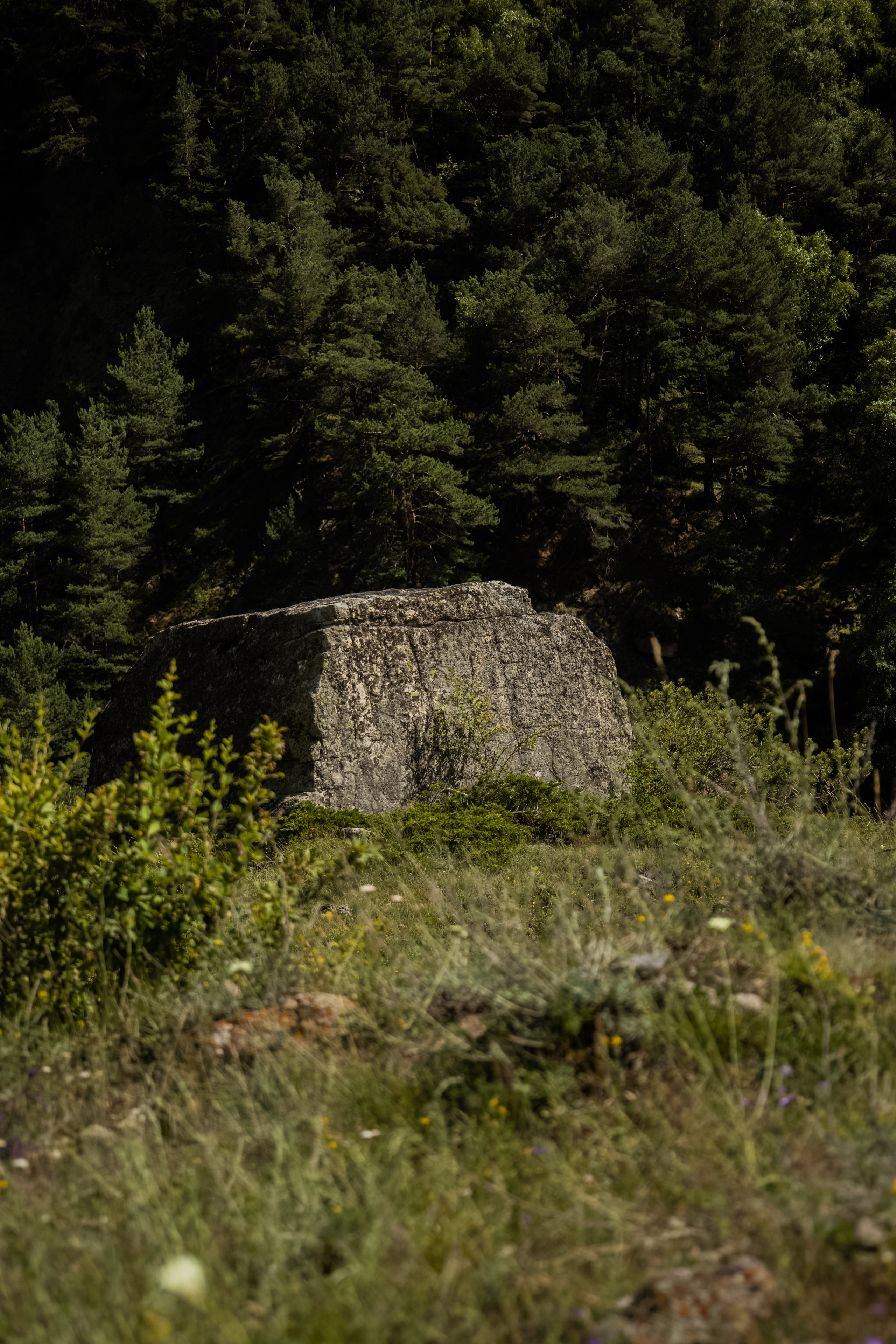 Красота Кабардино-Балкарии. Семейный детский фотограф Краснодарский край Оксана Колос