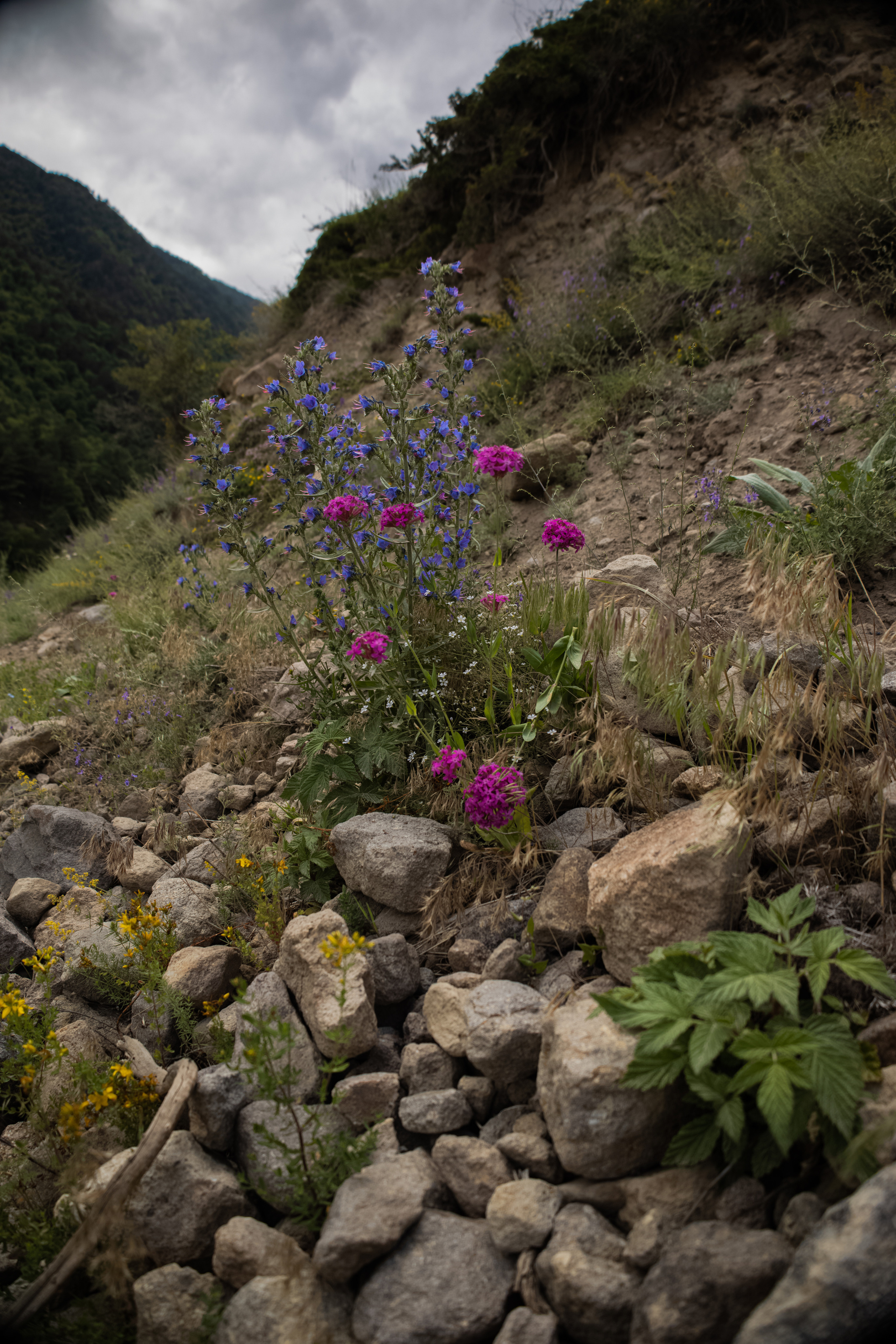 Красота Кабардино-Балкарии. Семейный детский фотограф Краснодарский край Оксана Колос