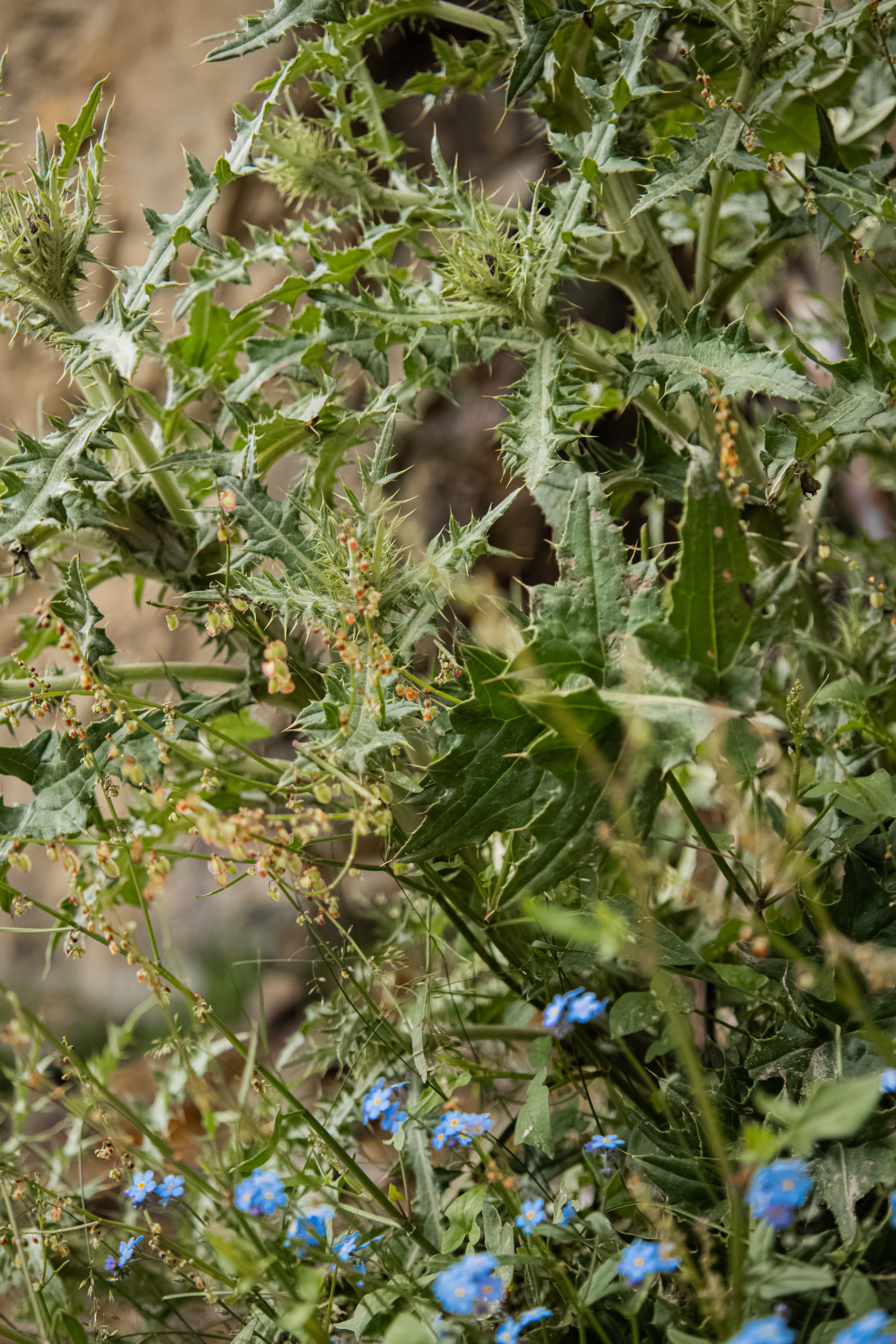 Красота Кабардино-Балкарии. Семейный детский фотограф Краснодарский край Оксана Колос